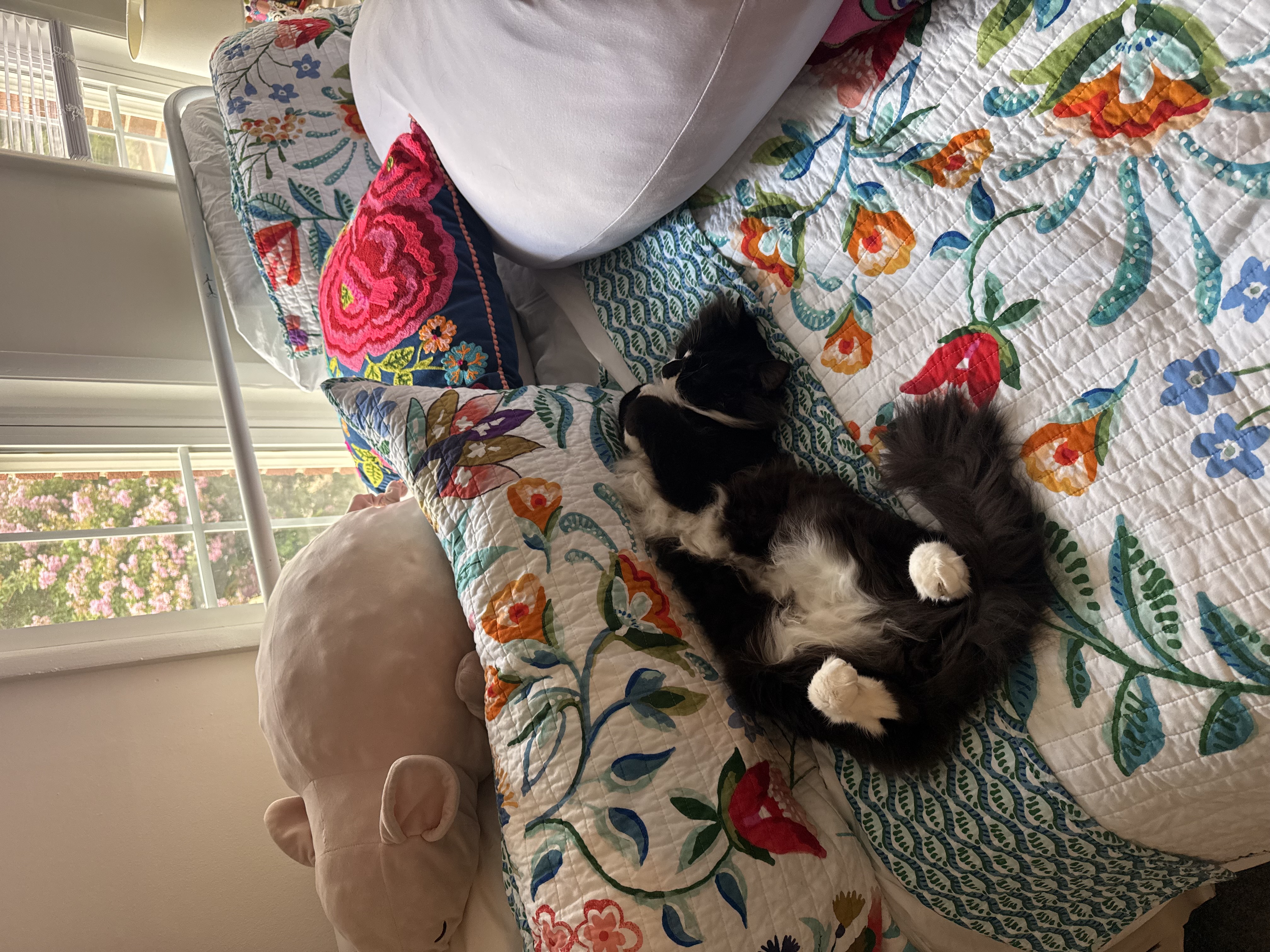 Photo from Kady's MoonSpoon review