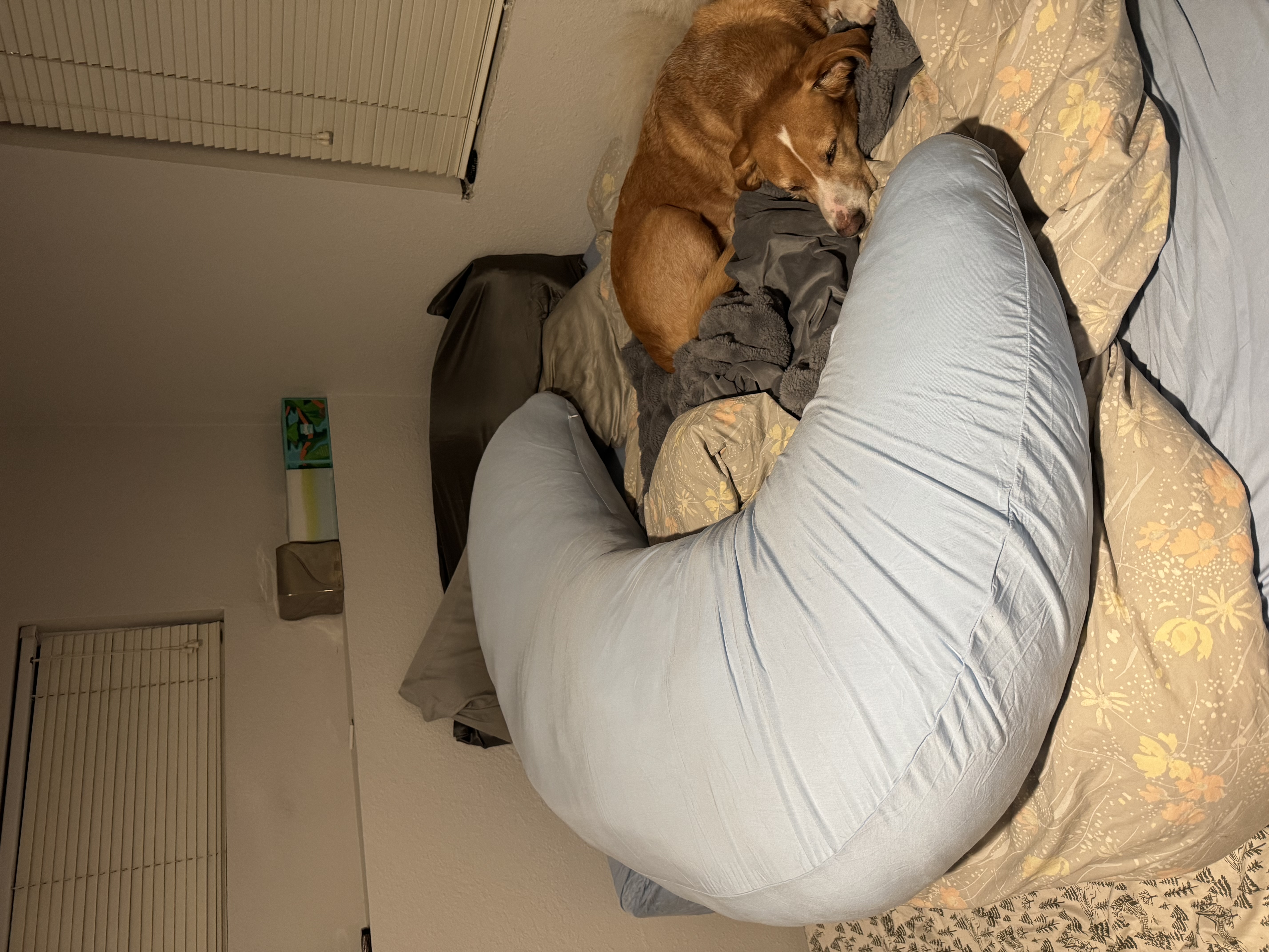 Photo from Kt's MoonSpoon review