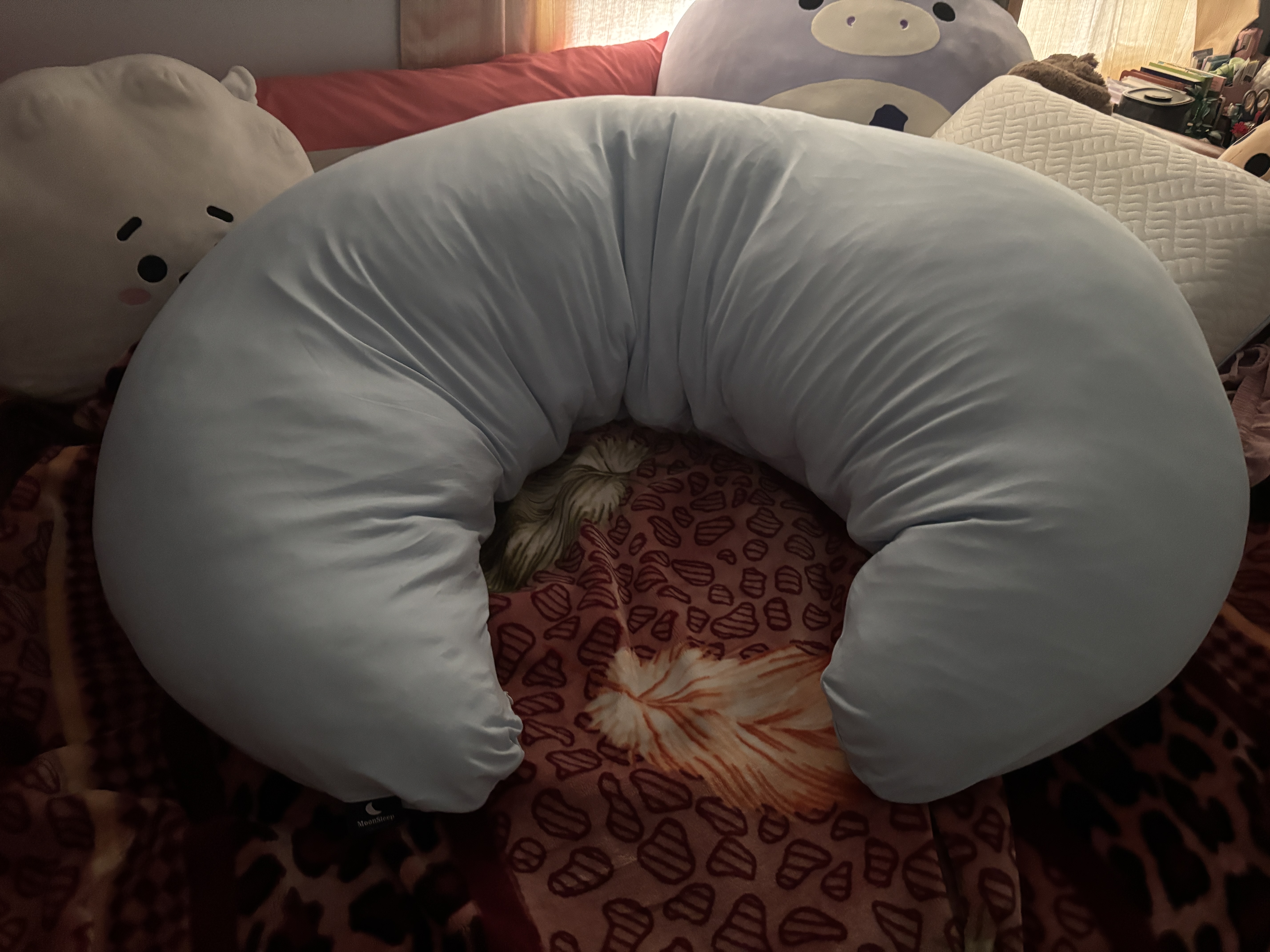 Photo from Senam's MoonSpoon review
