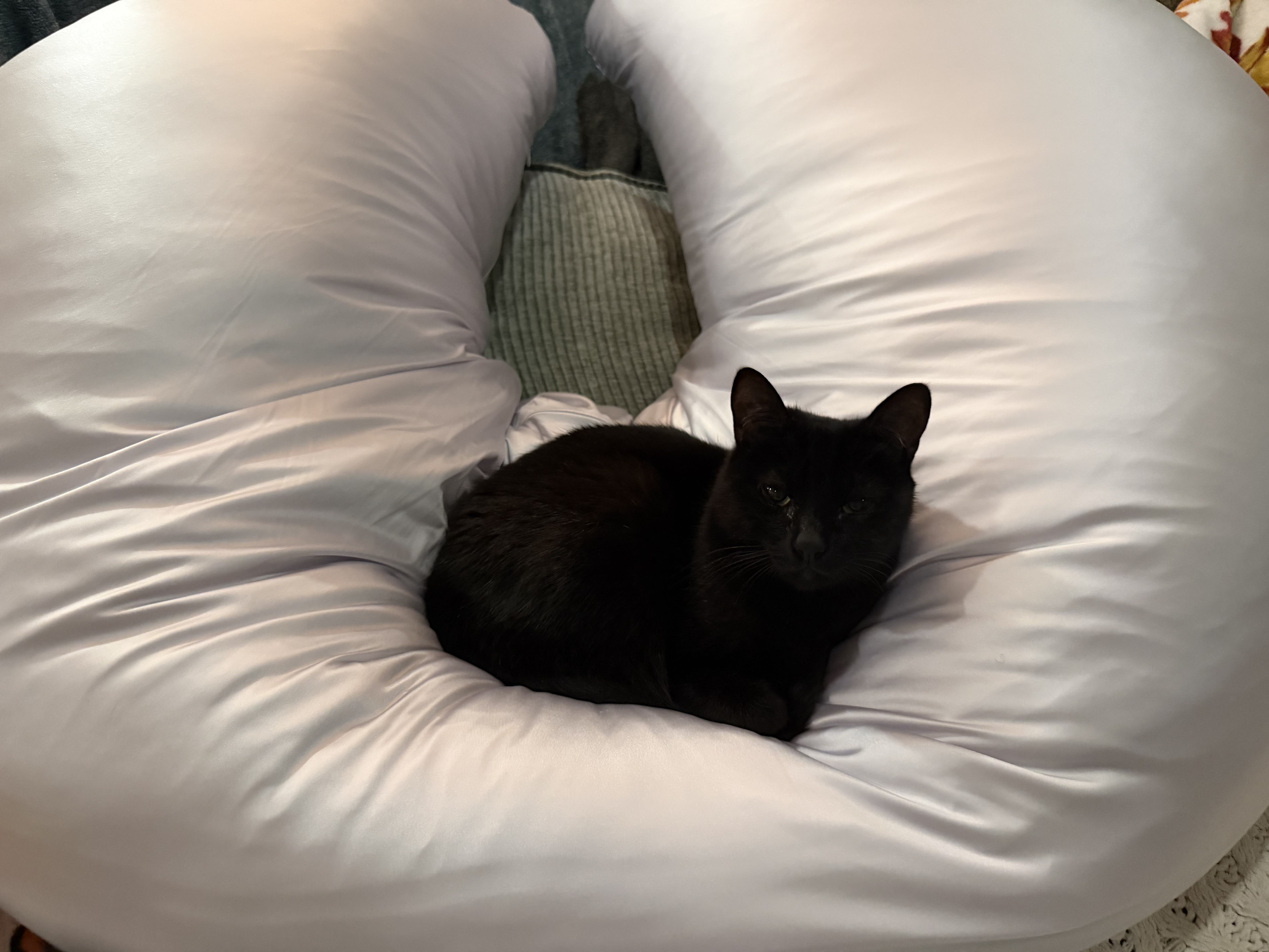 Photo from Harmony's MoonSpoon review