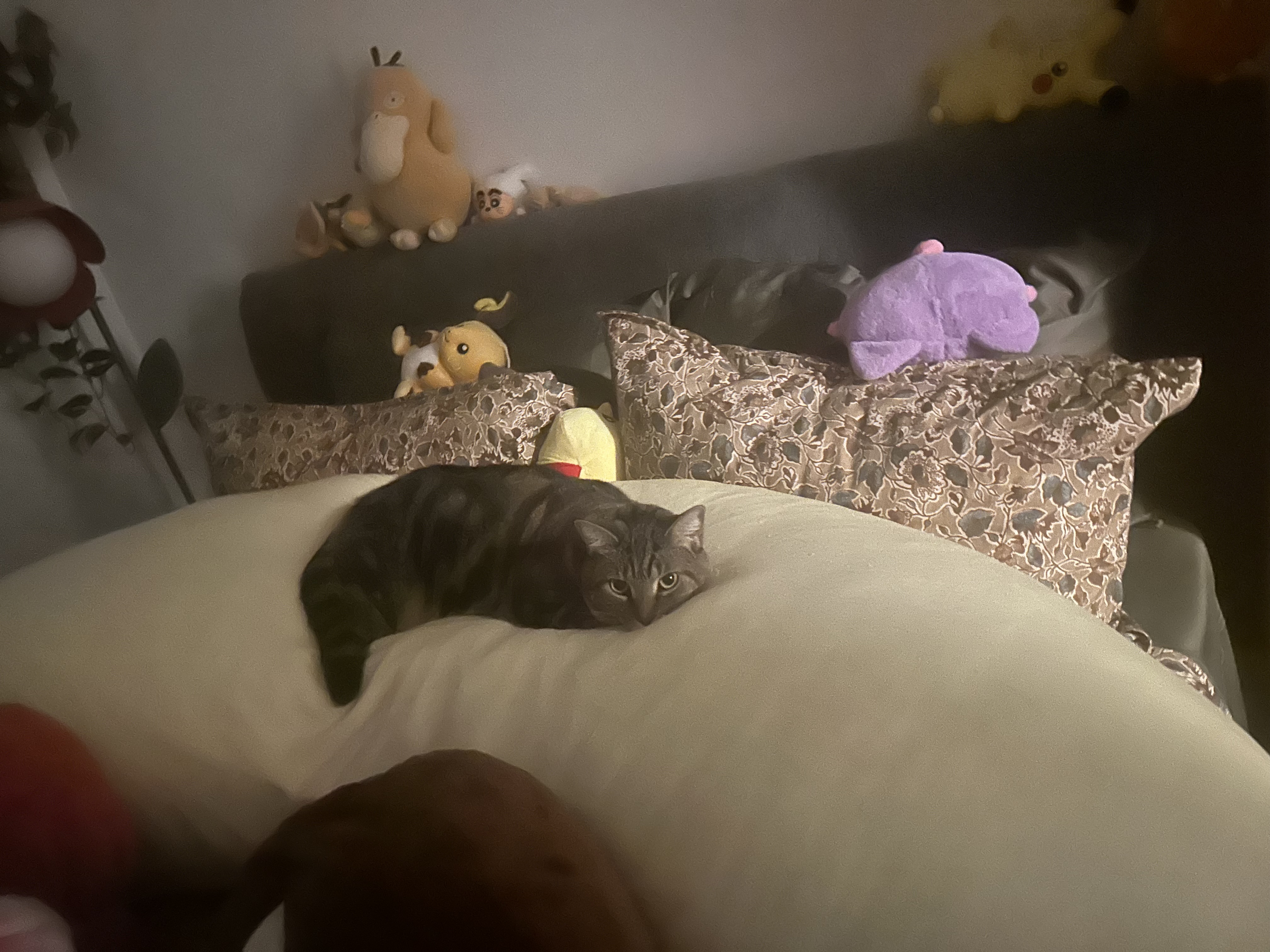 Photo from Kandyce's MoonSpoon review