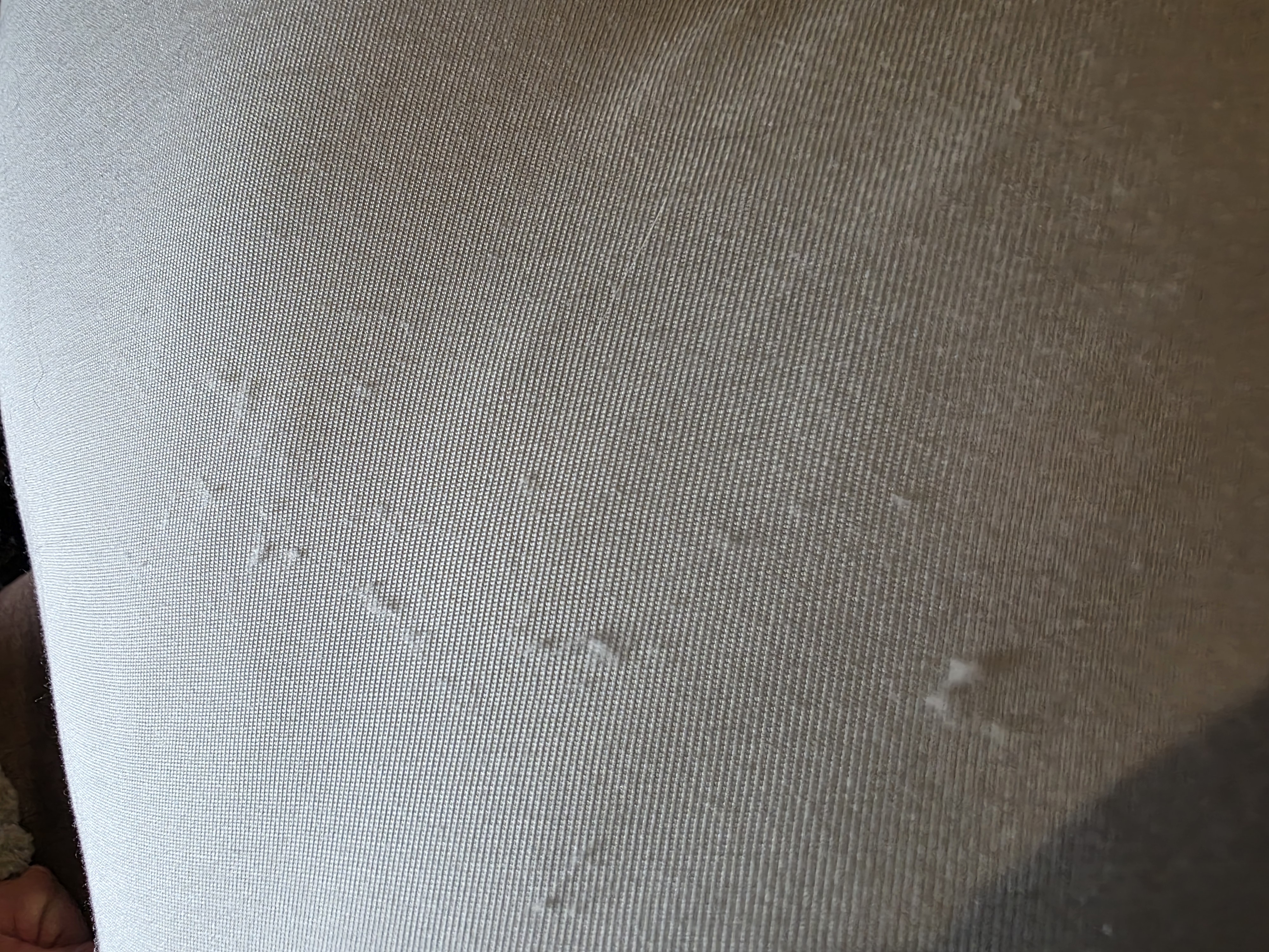 Photo from Brooke's MoonSpoon review