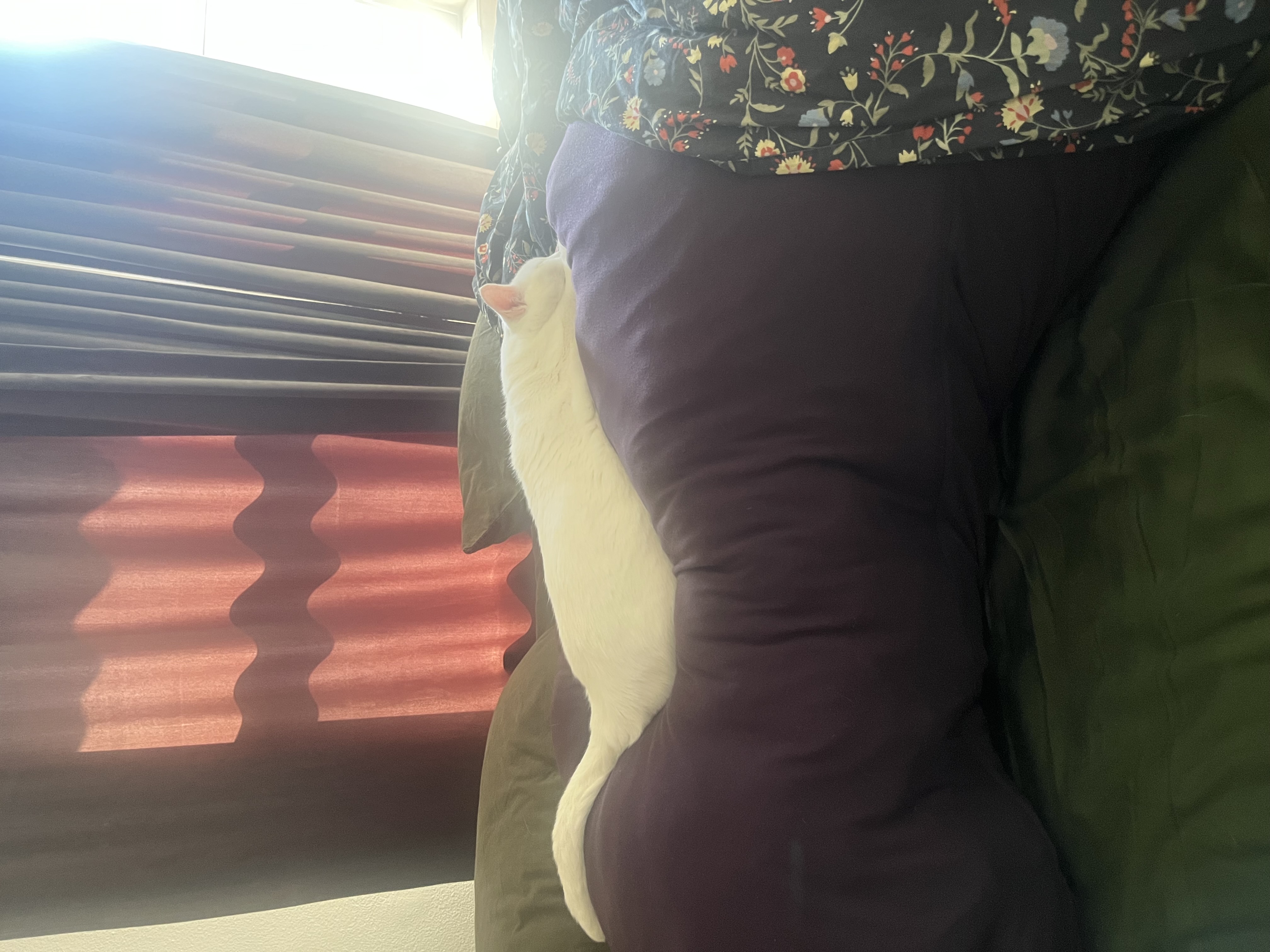 Photo from Lexi's MoonSpoon review