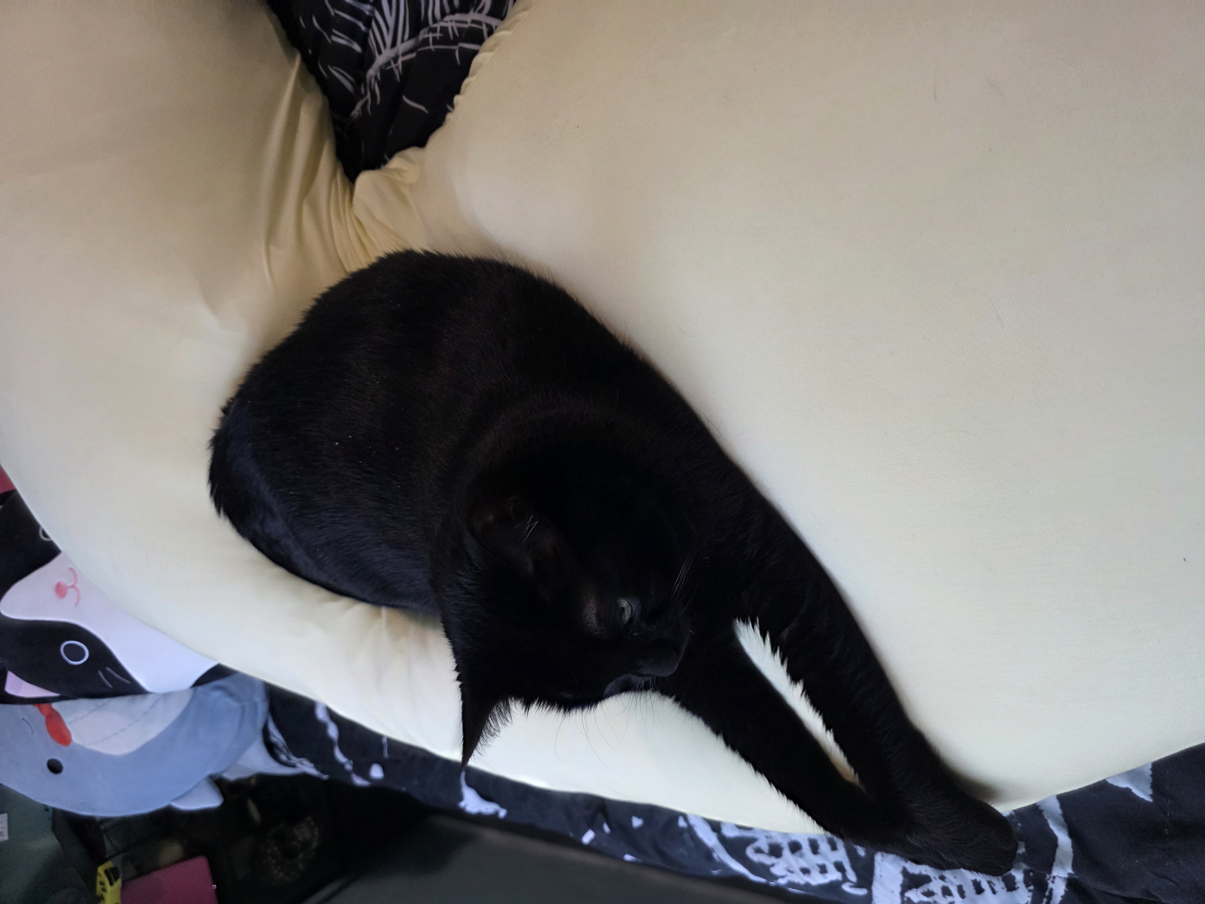 Photo from Liz's MoonSpoon review