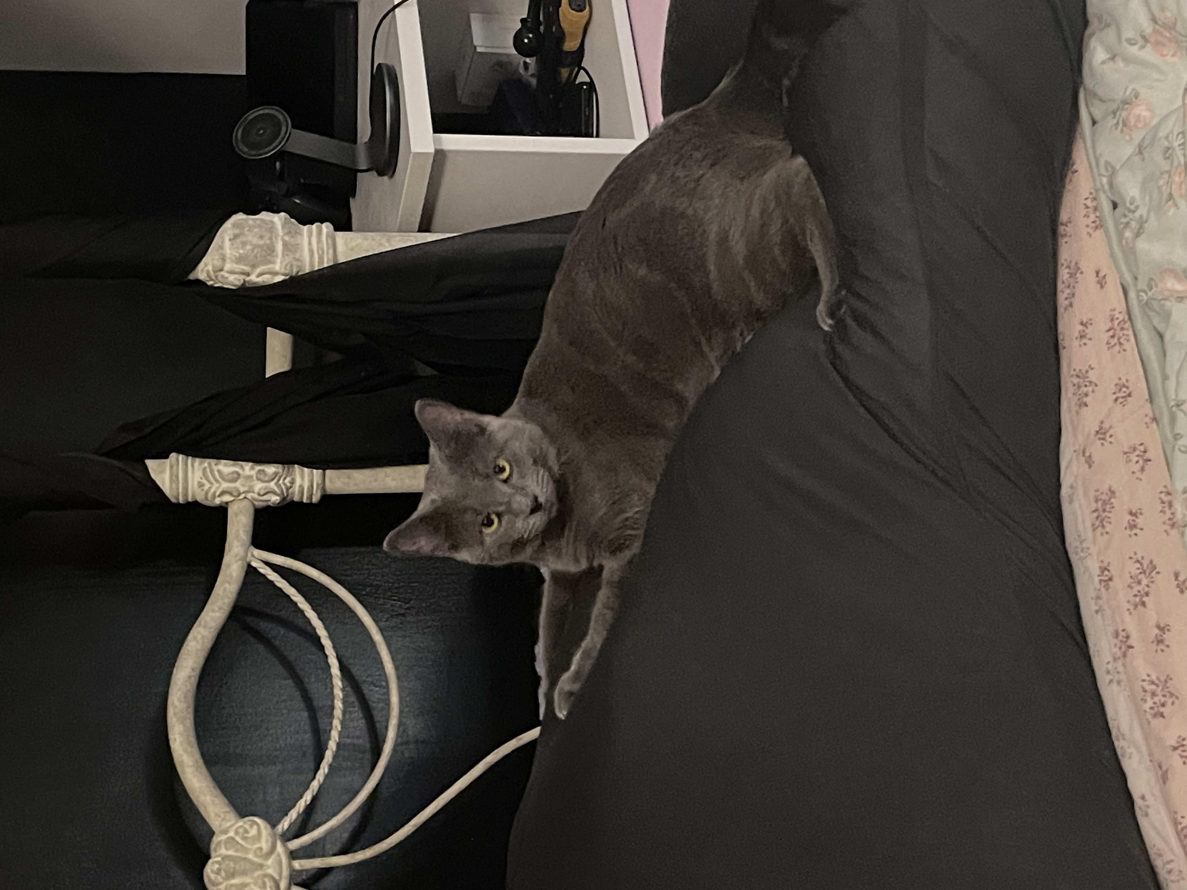 Photo from Kaitlynn's MoonSpoon review