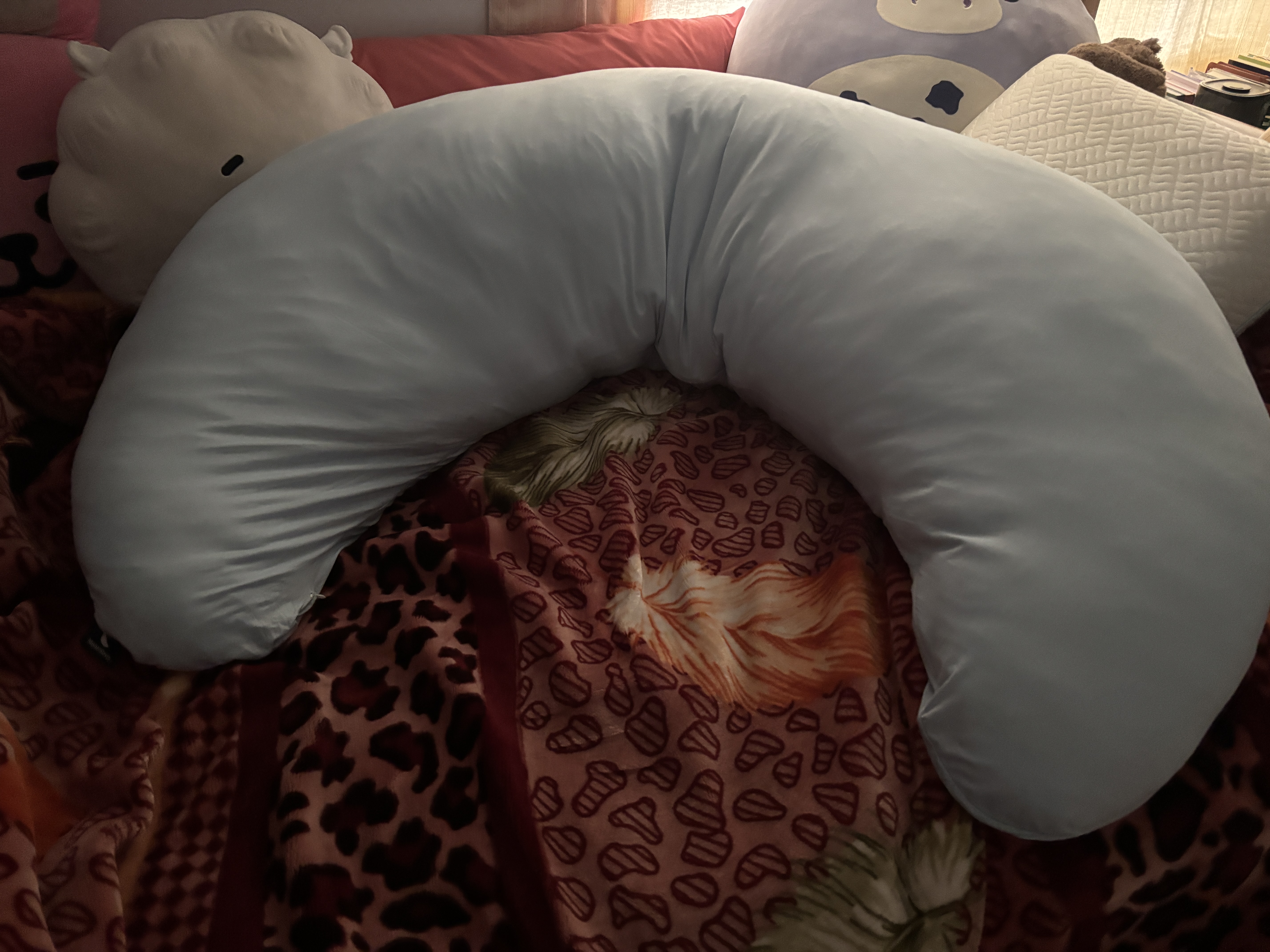 Photo from Senam's MoonSpoon review