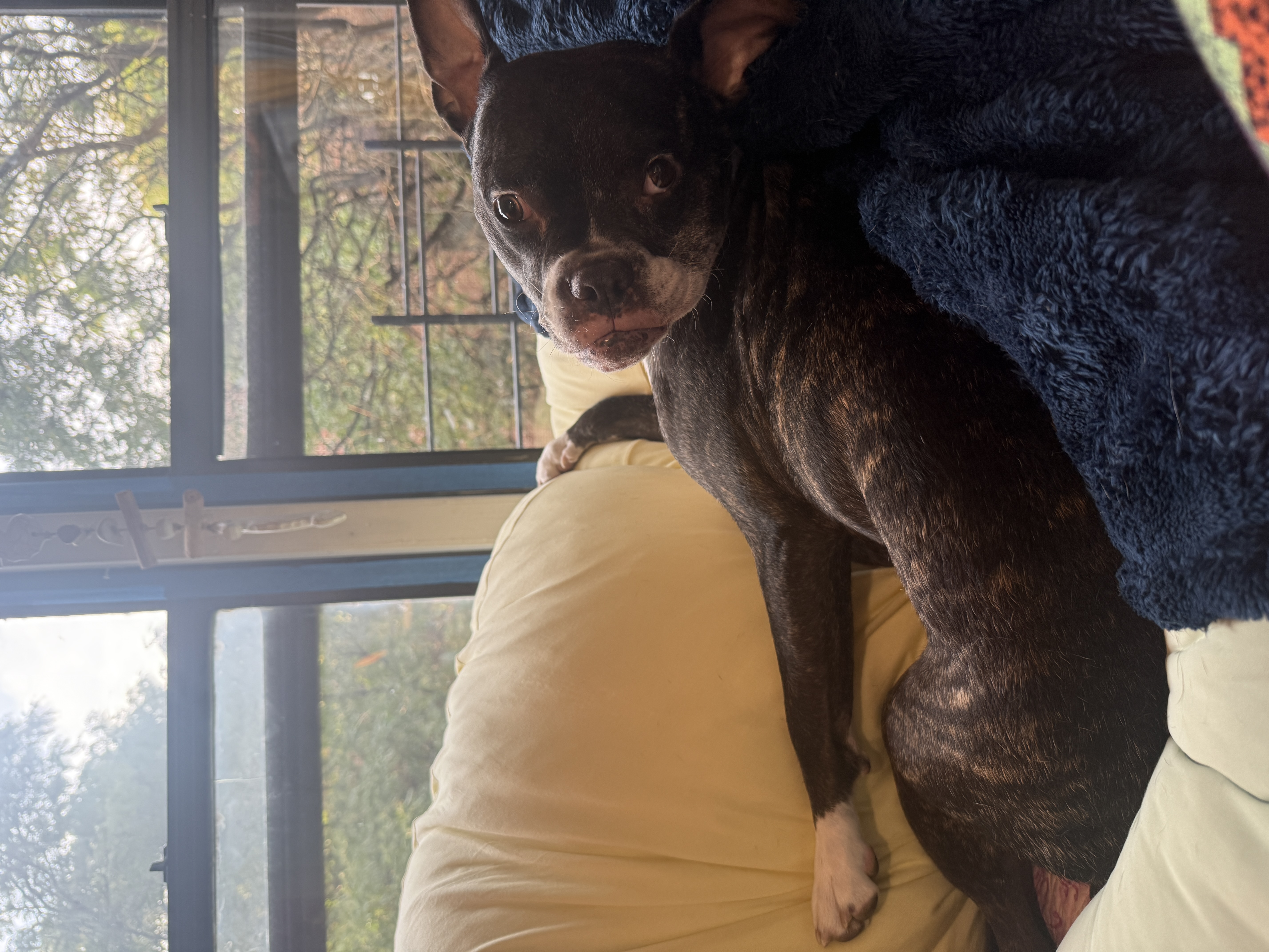 Photo from Renée-Michele's MoonSpoon review