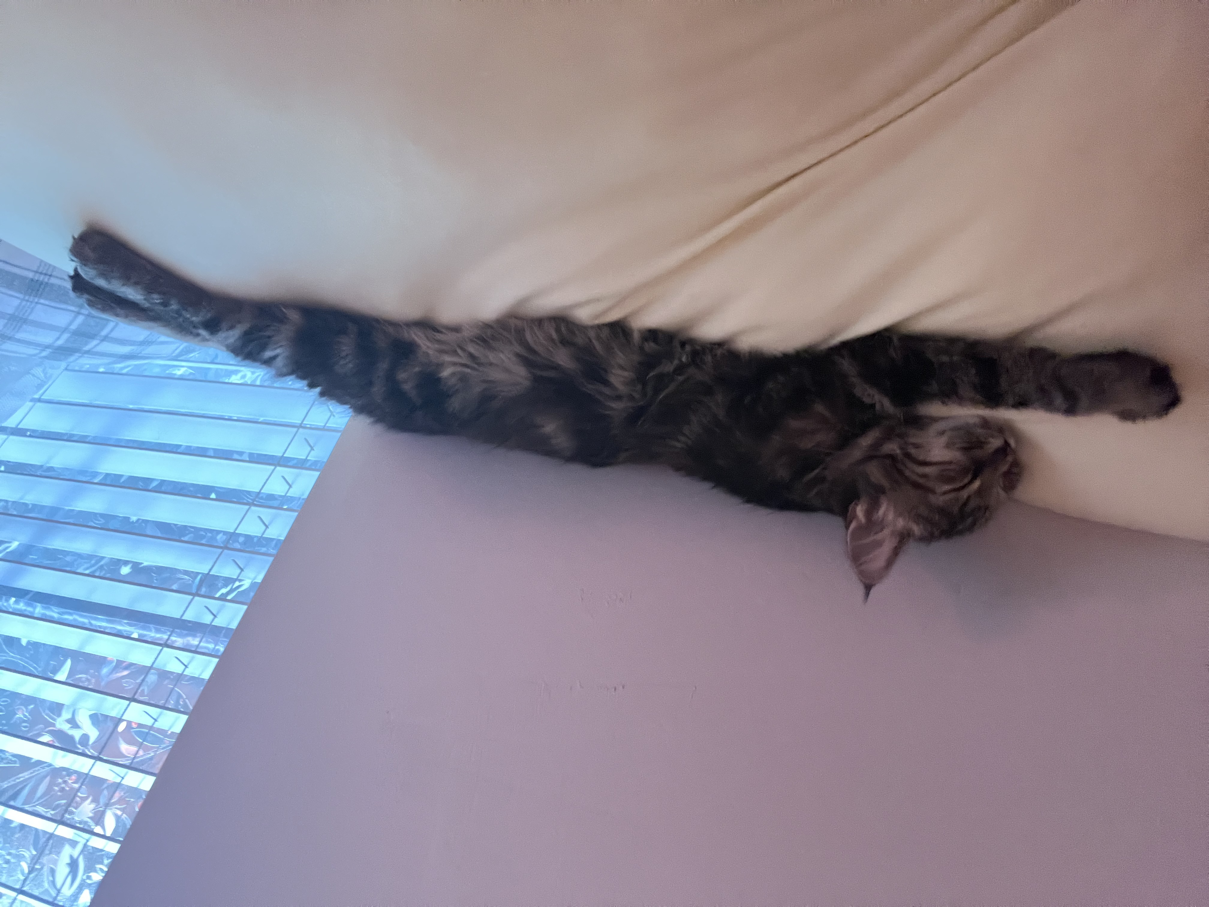 Photo from Rea's MoonSpoon review