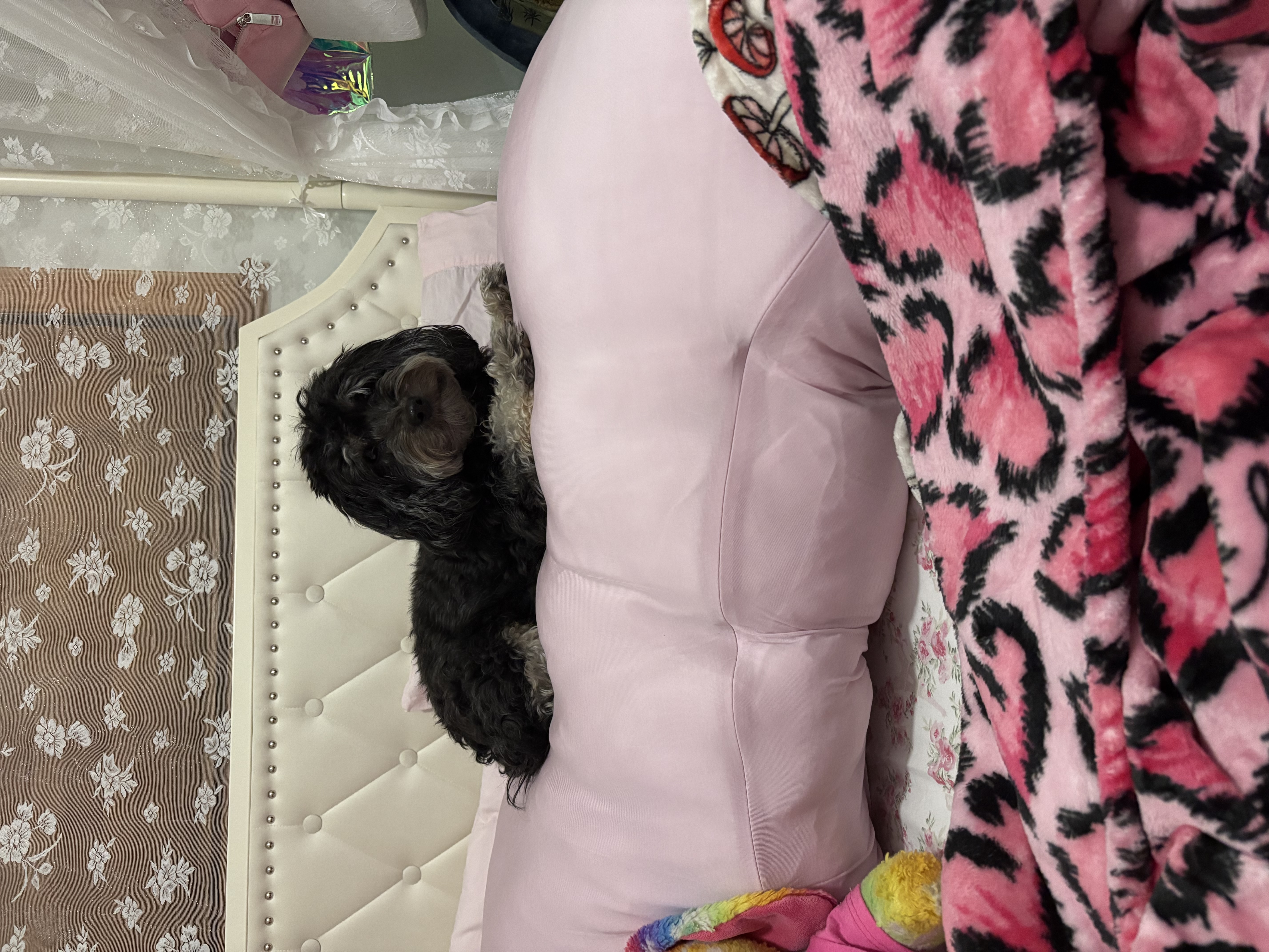 Photo from Alexa's MoonSpoon review