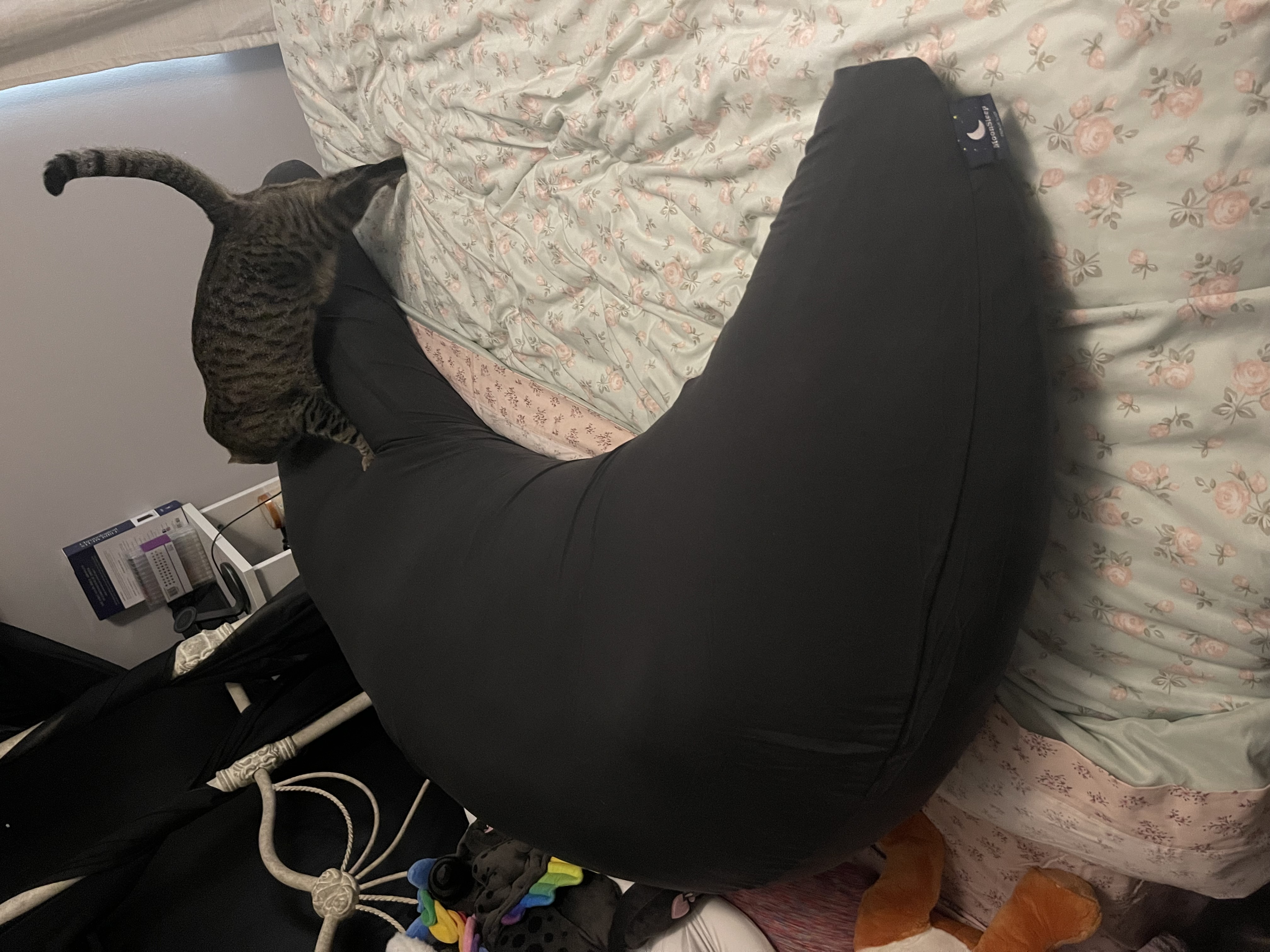 Photo from Kaitlynn's MoonSpoon review