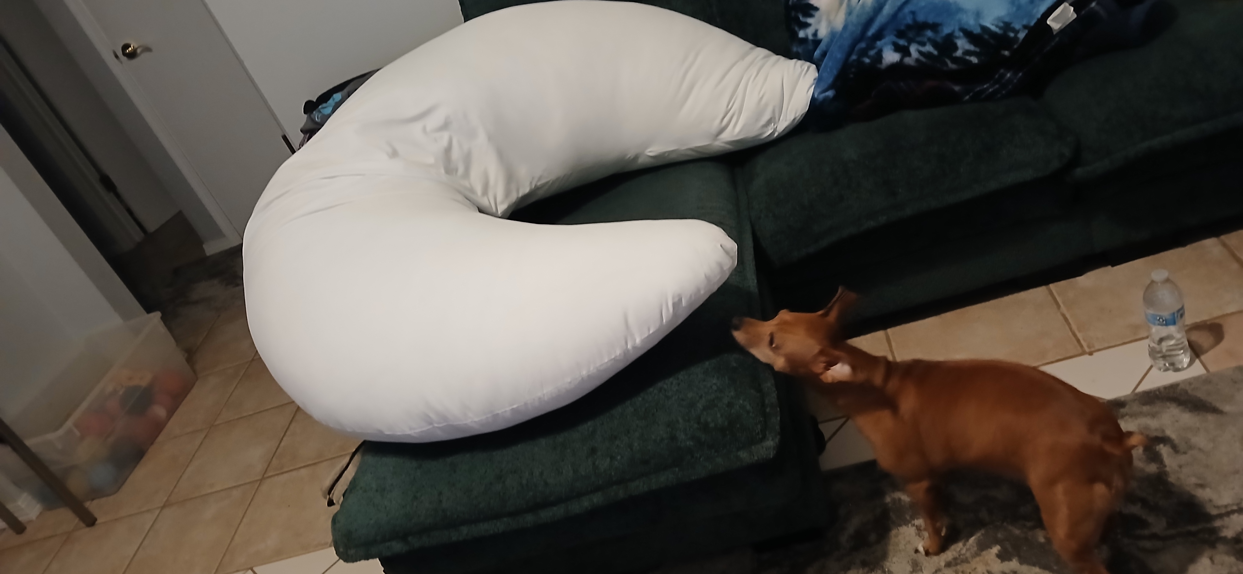 Photo from Ashleigh's MoonSpoon review