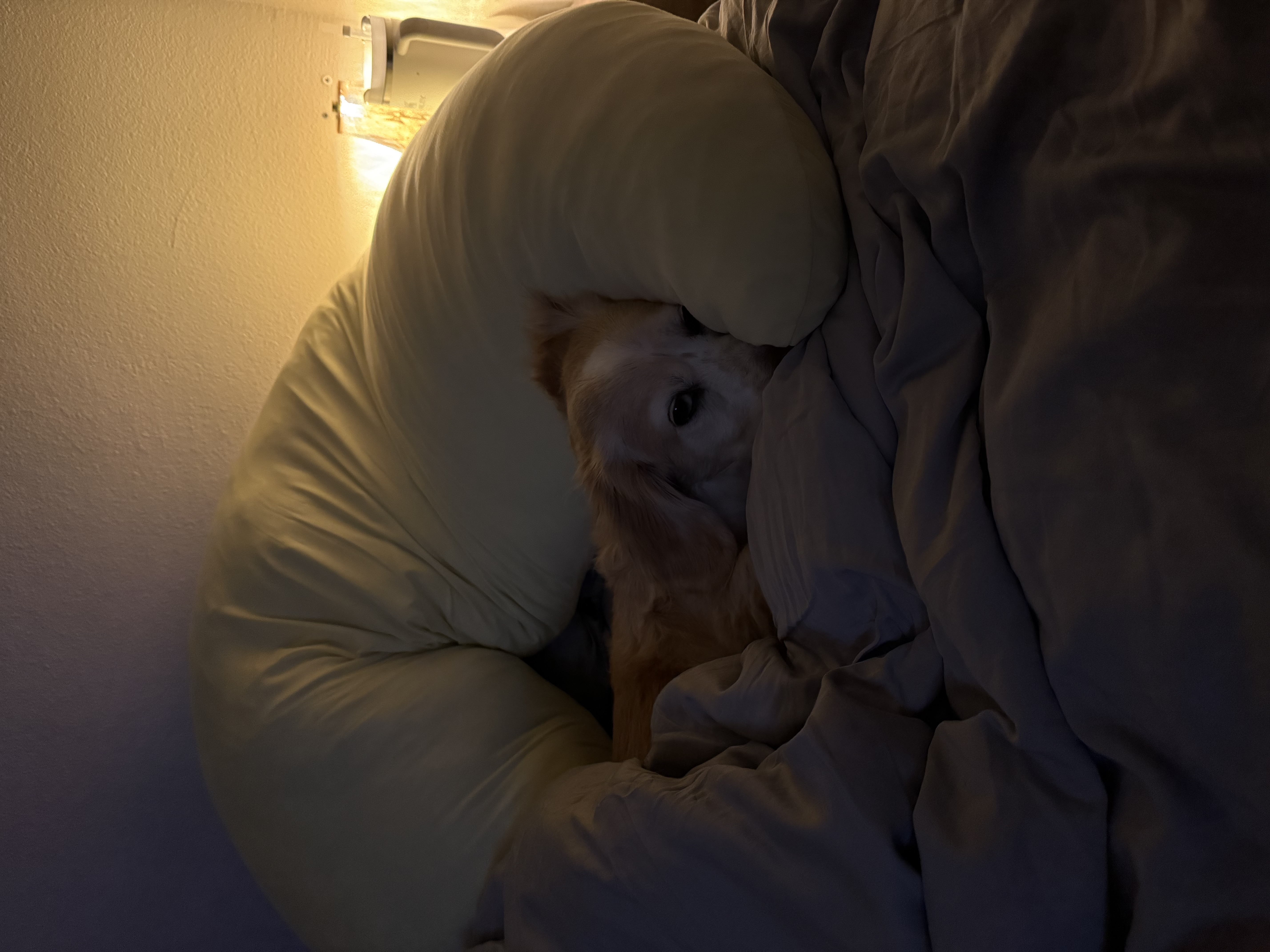 Photo from Nina's MoonSpoon review
