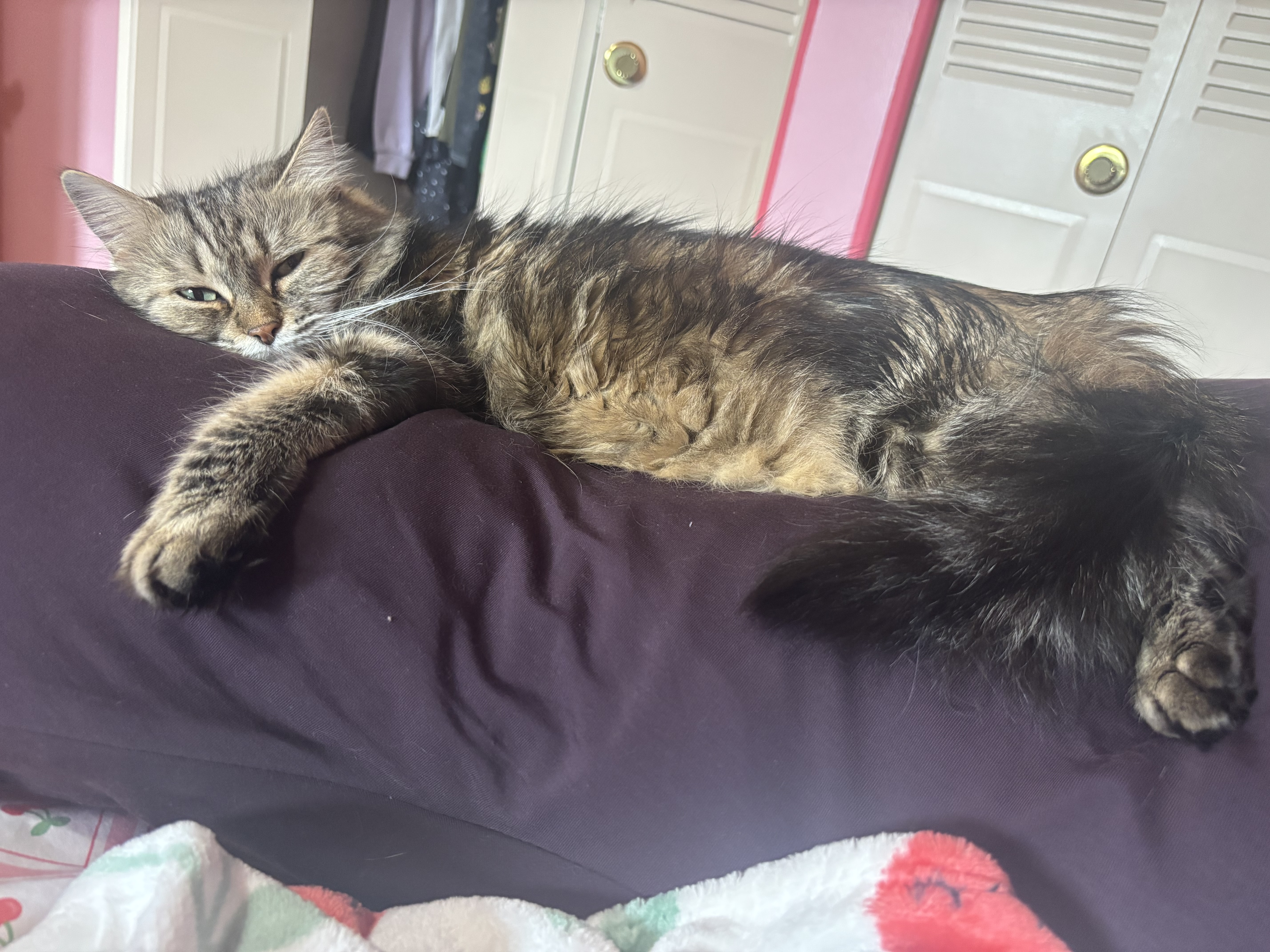 Photo from Eleanor's MoonSpoon review