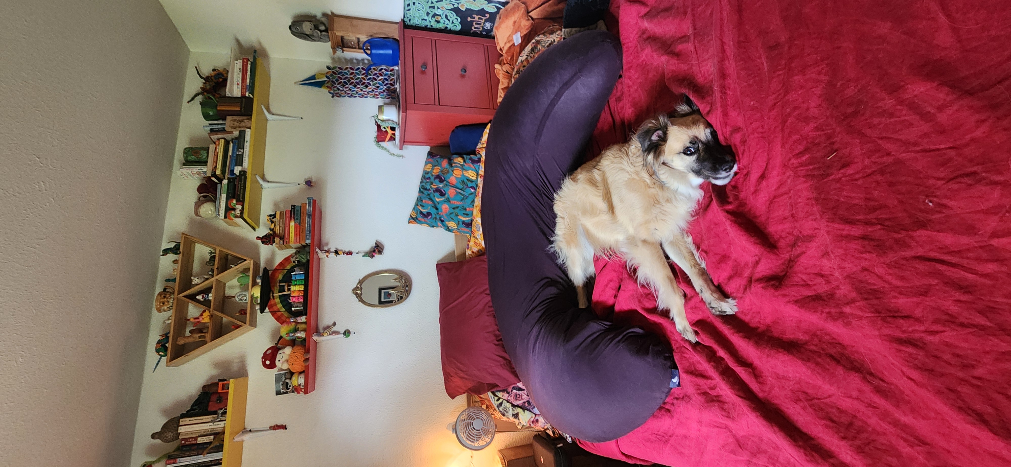 Photo from Madisyn's MoonSpoon review