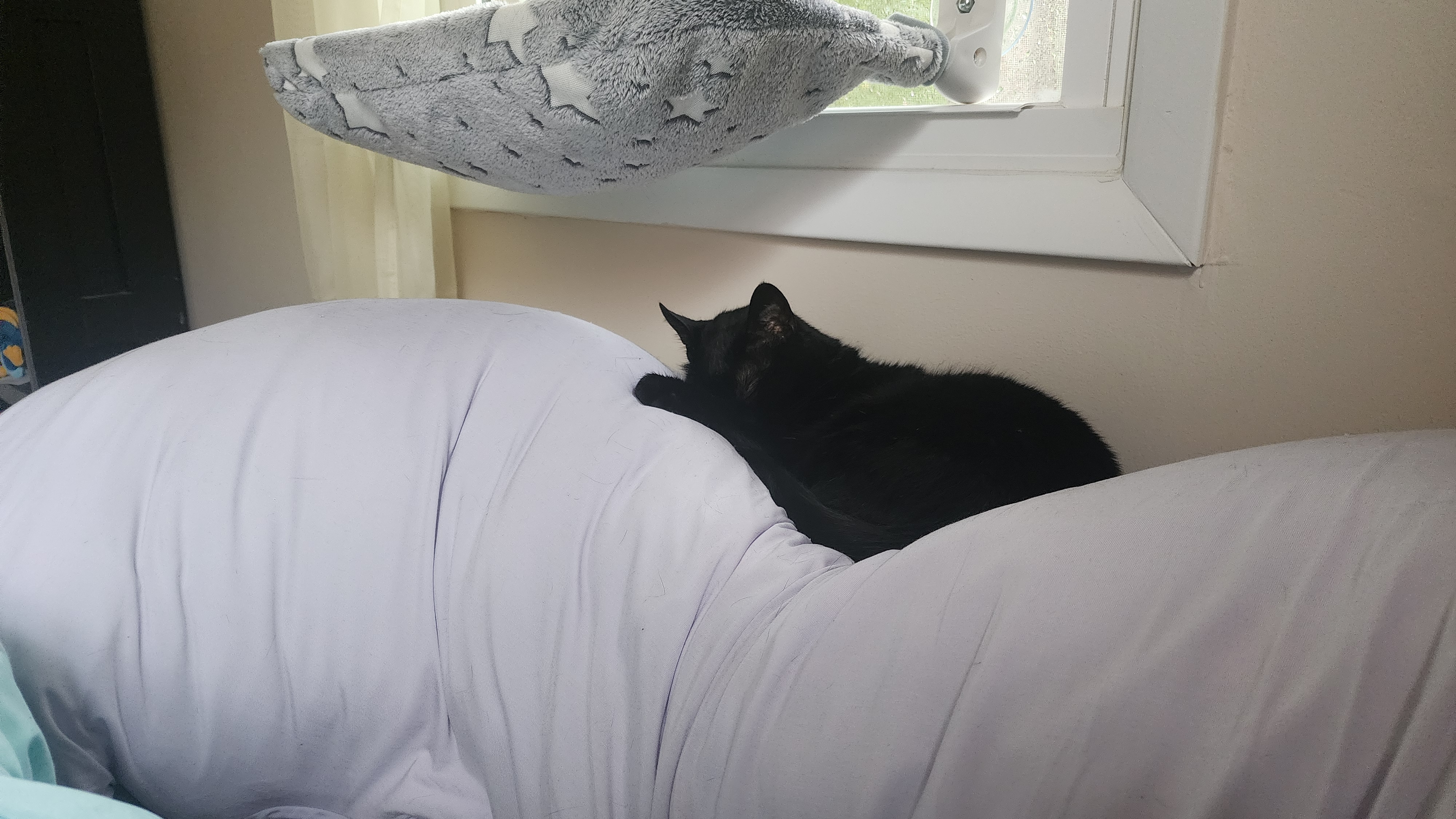 Photo from Amanda's MoonSpoon review