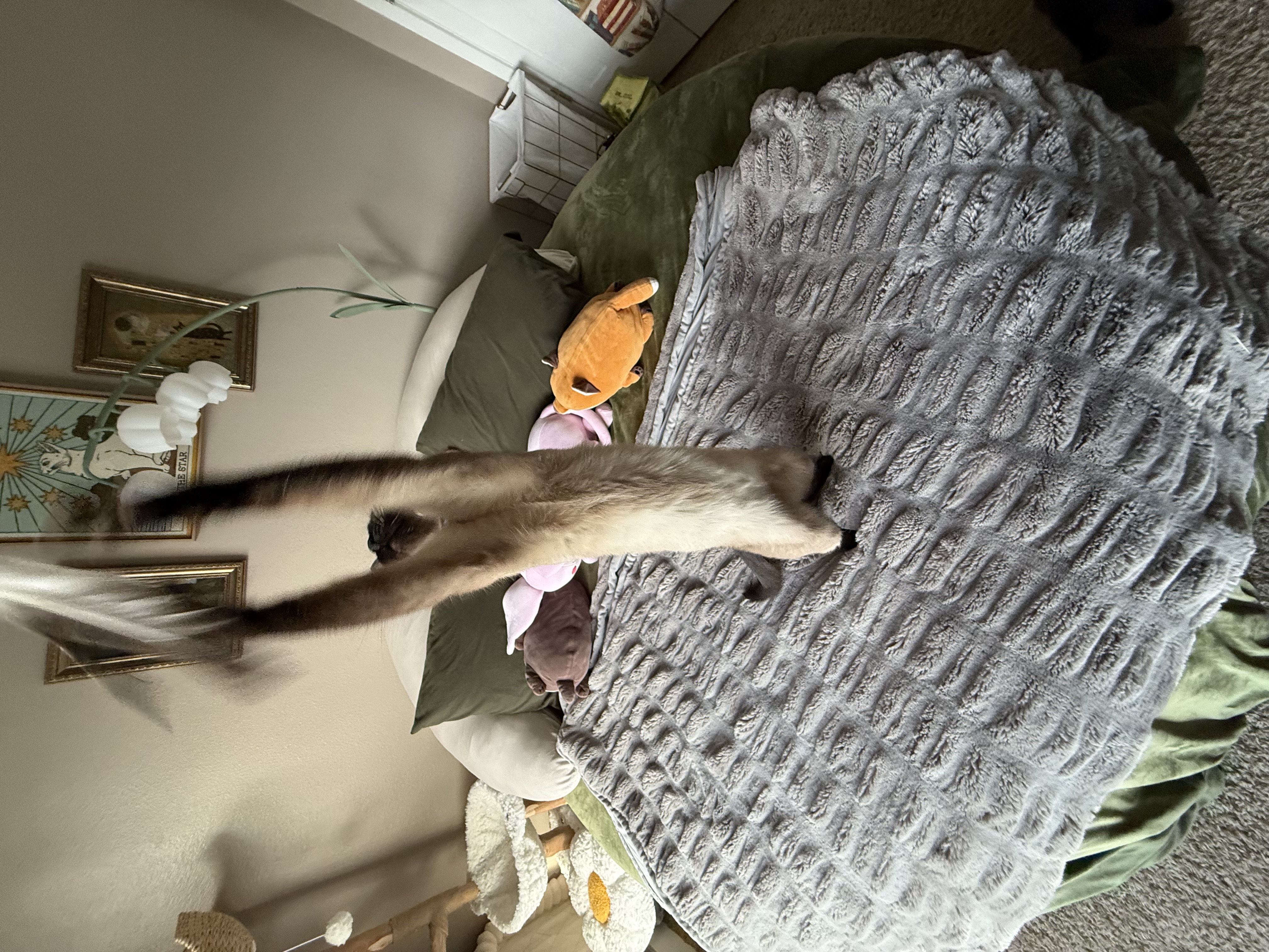 Photo from Leah's MoonSpoon review