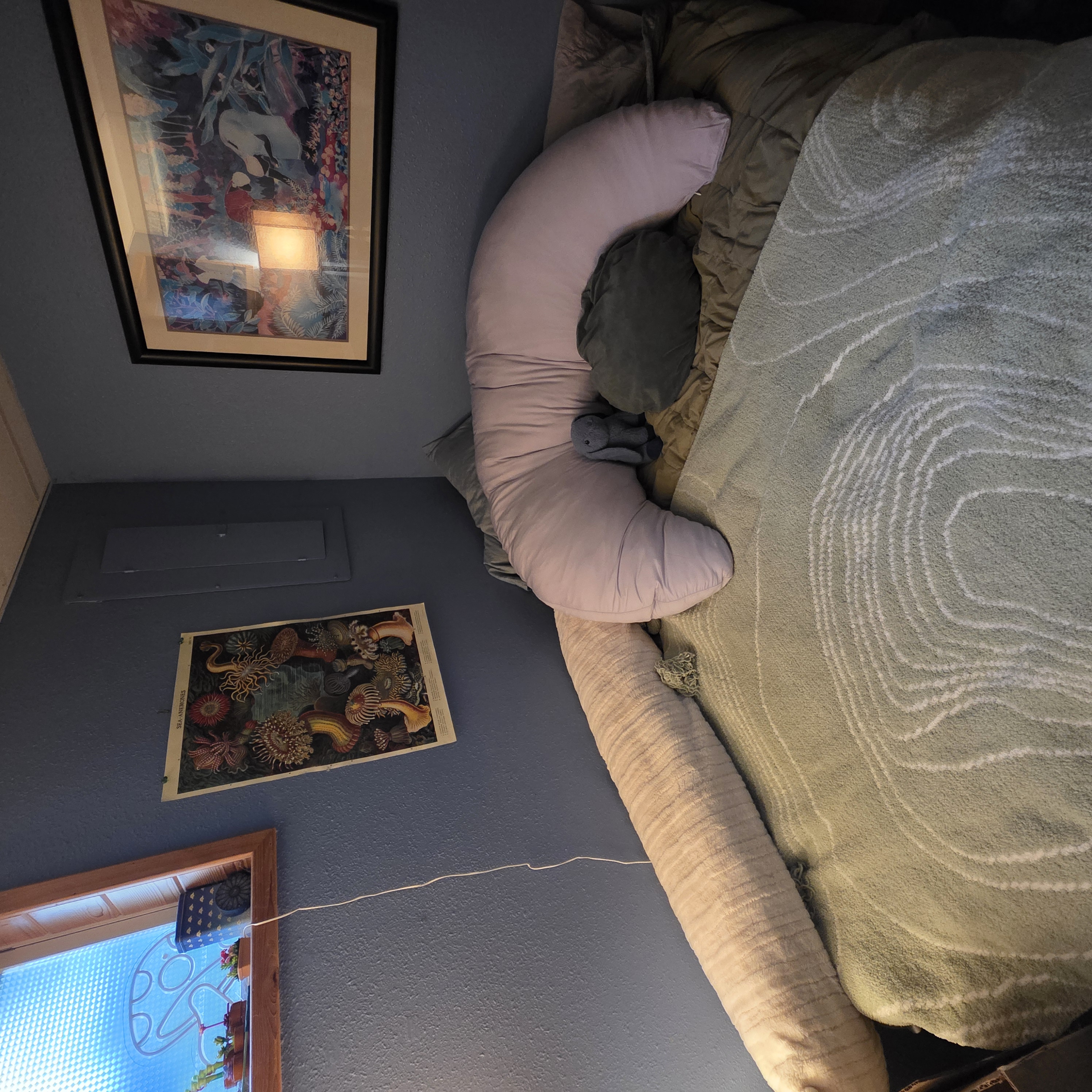 Photo from Ayla's MoonSpoon review