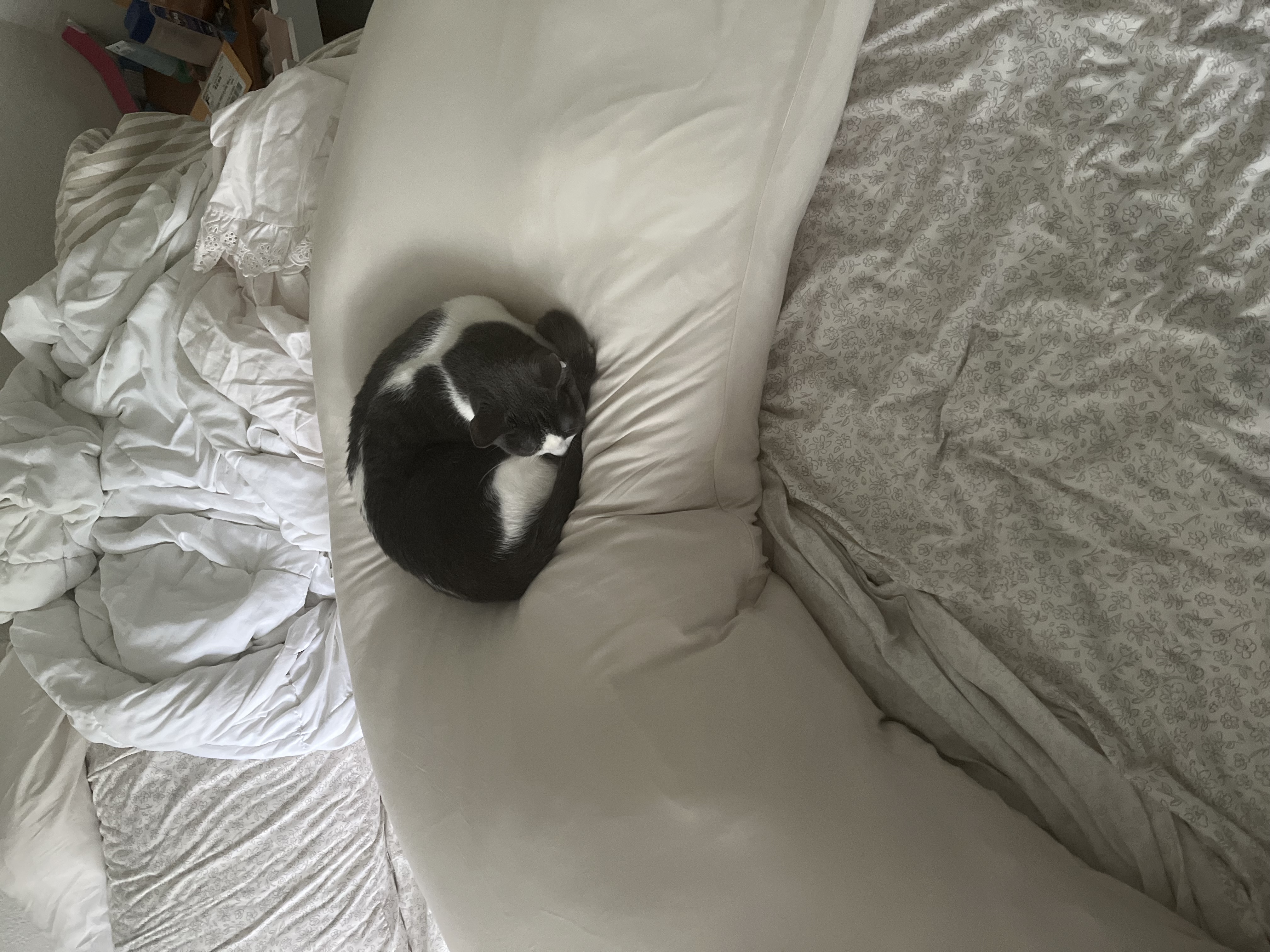 Photo from Kari's MoonSpoon review
