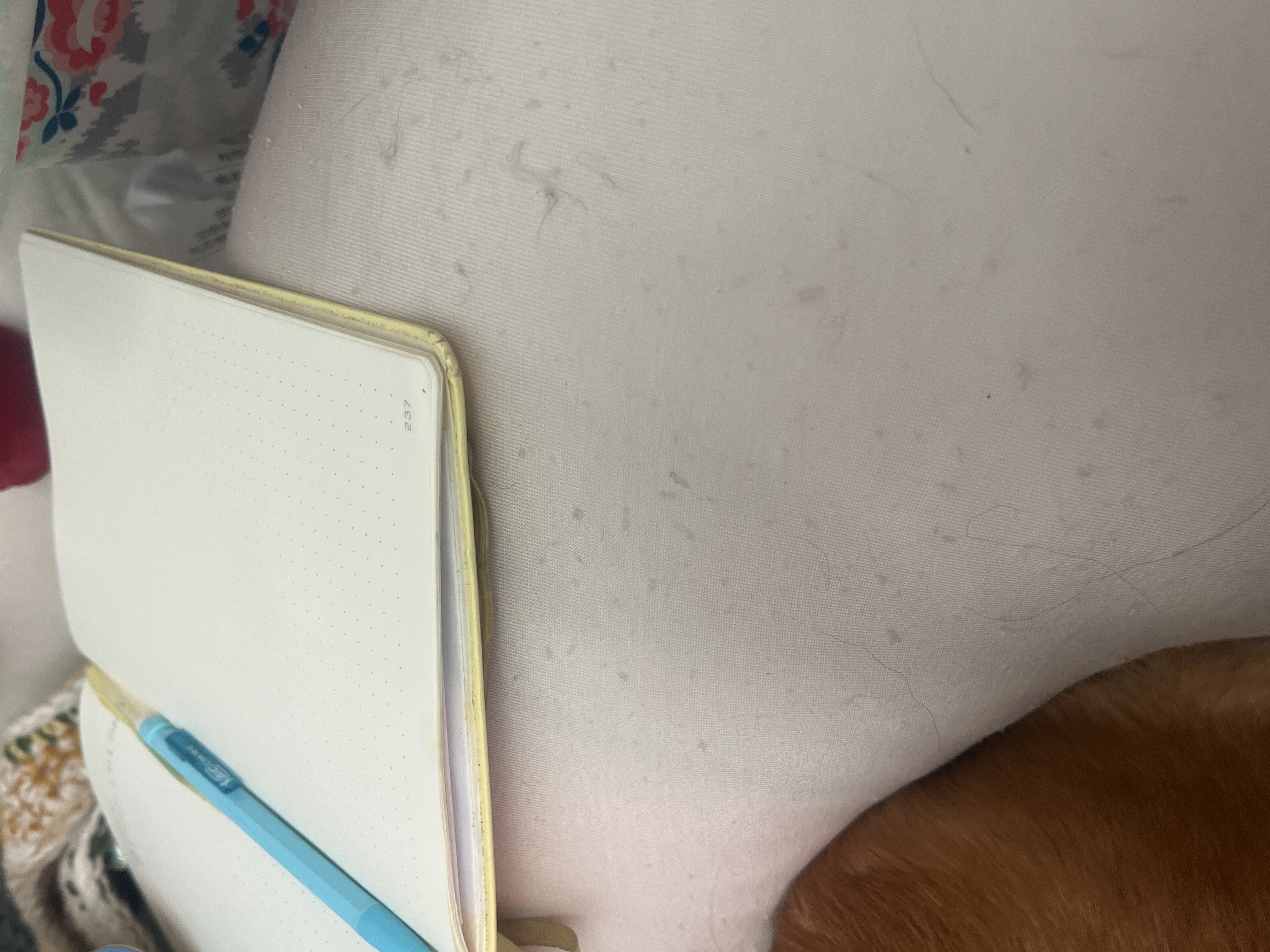 Photo from Rebekah's MoonSpoon review