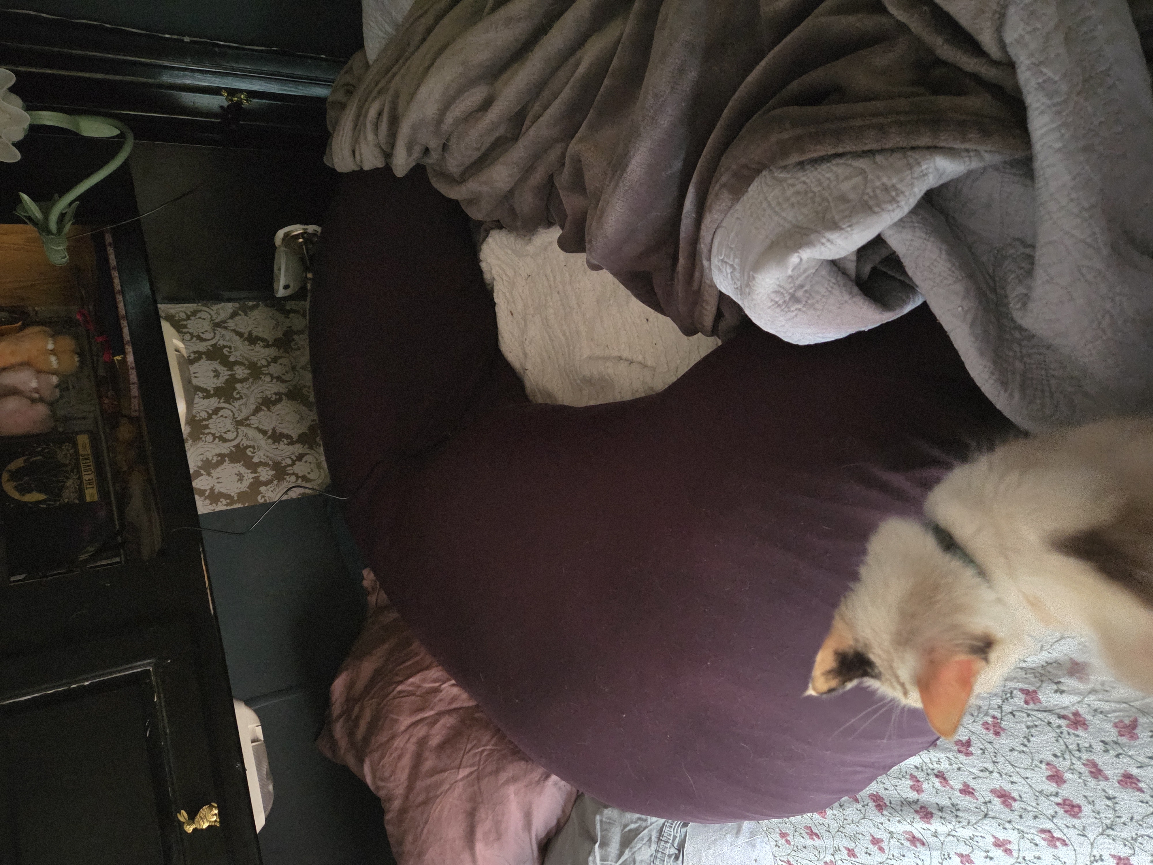 Photo from Eliza's MoonSpoon review