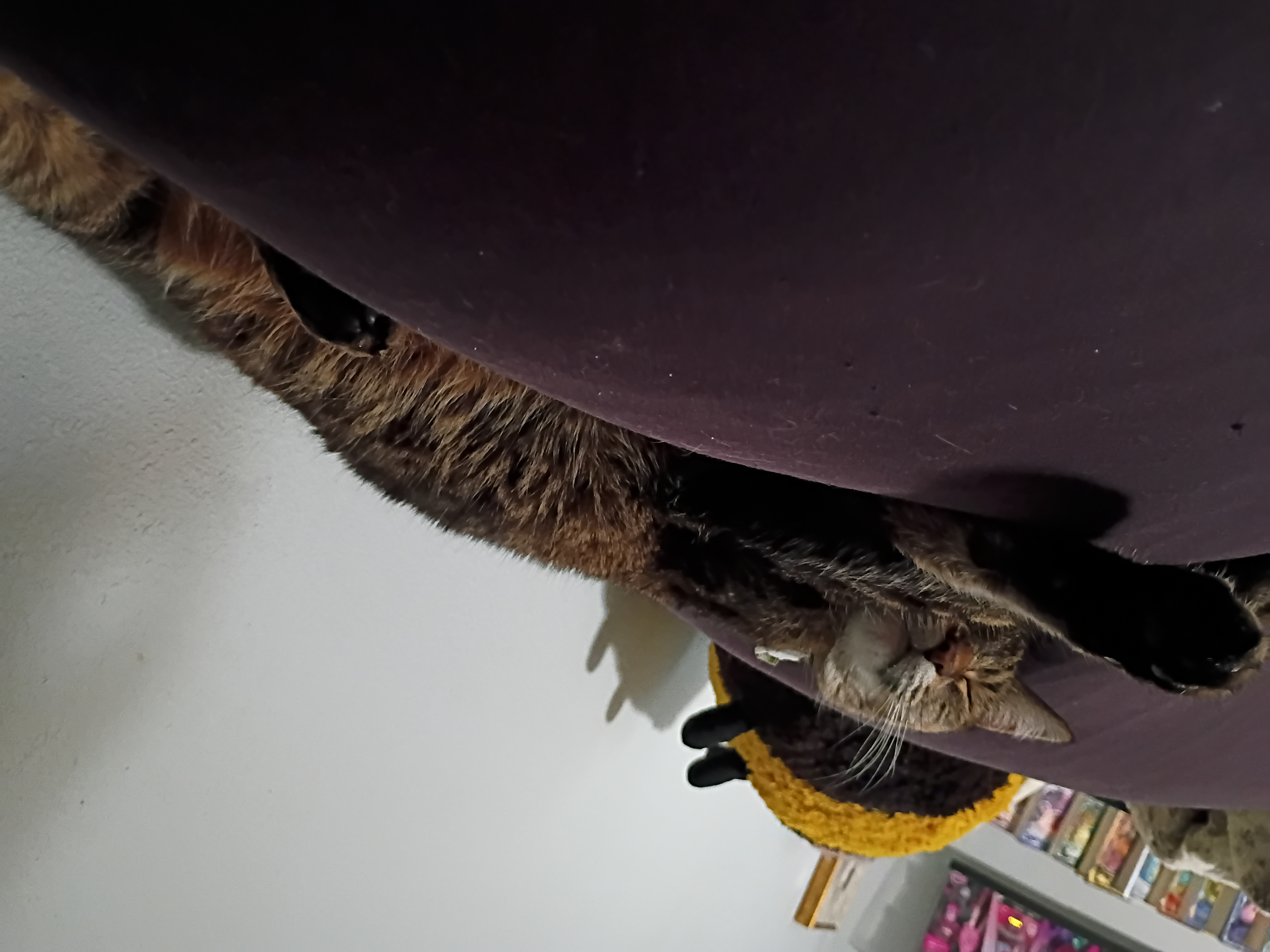 Photo from Kiki's MoonSpoon review