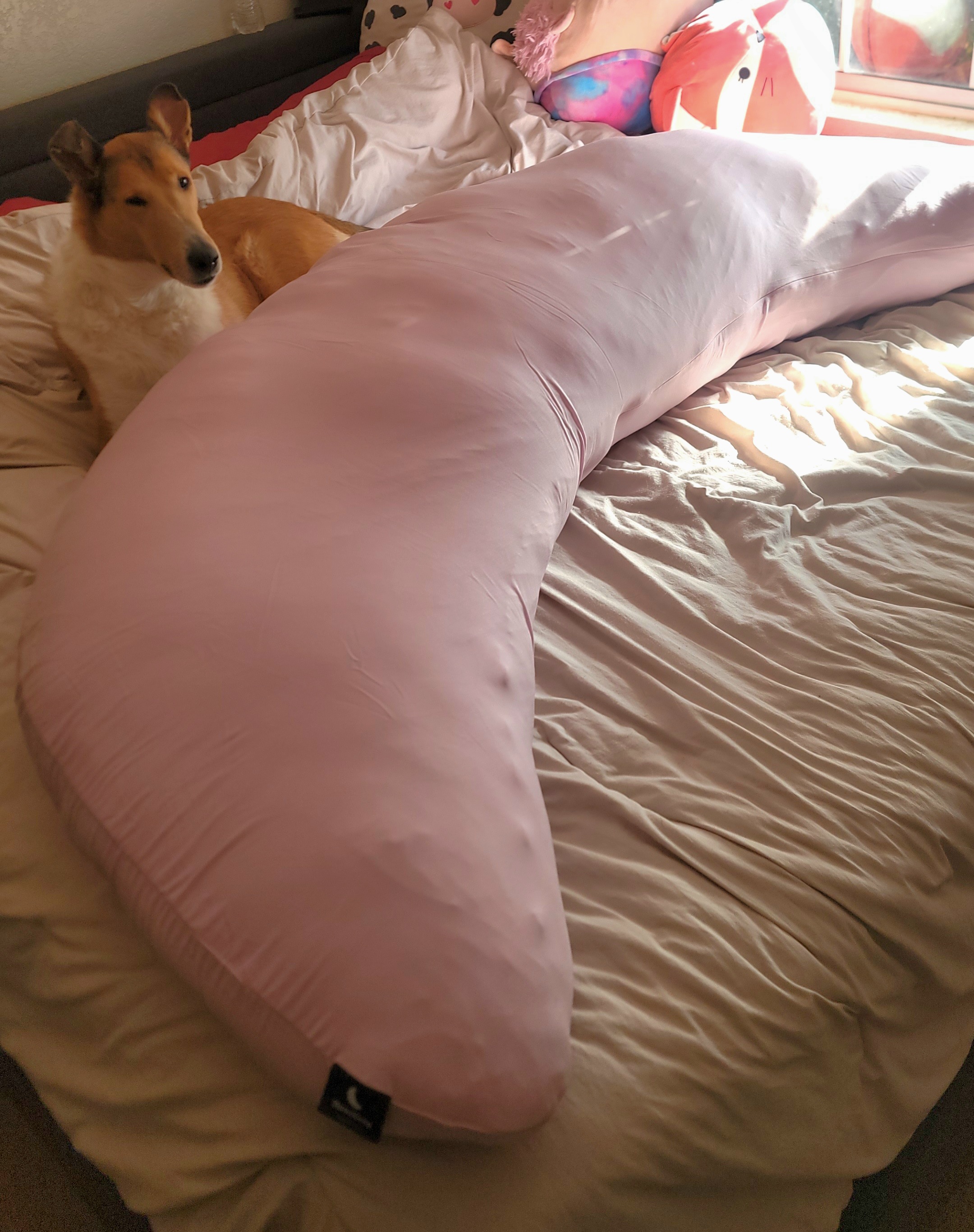 Photo from Kay's MoonSpoon review