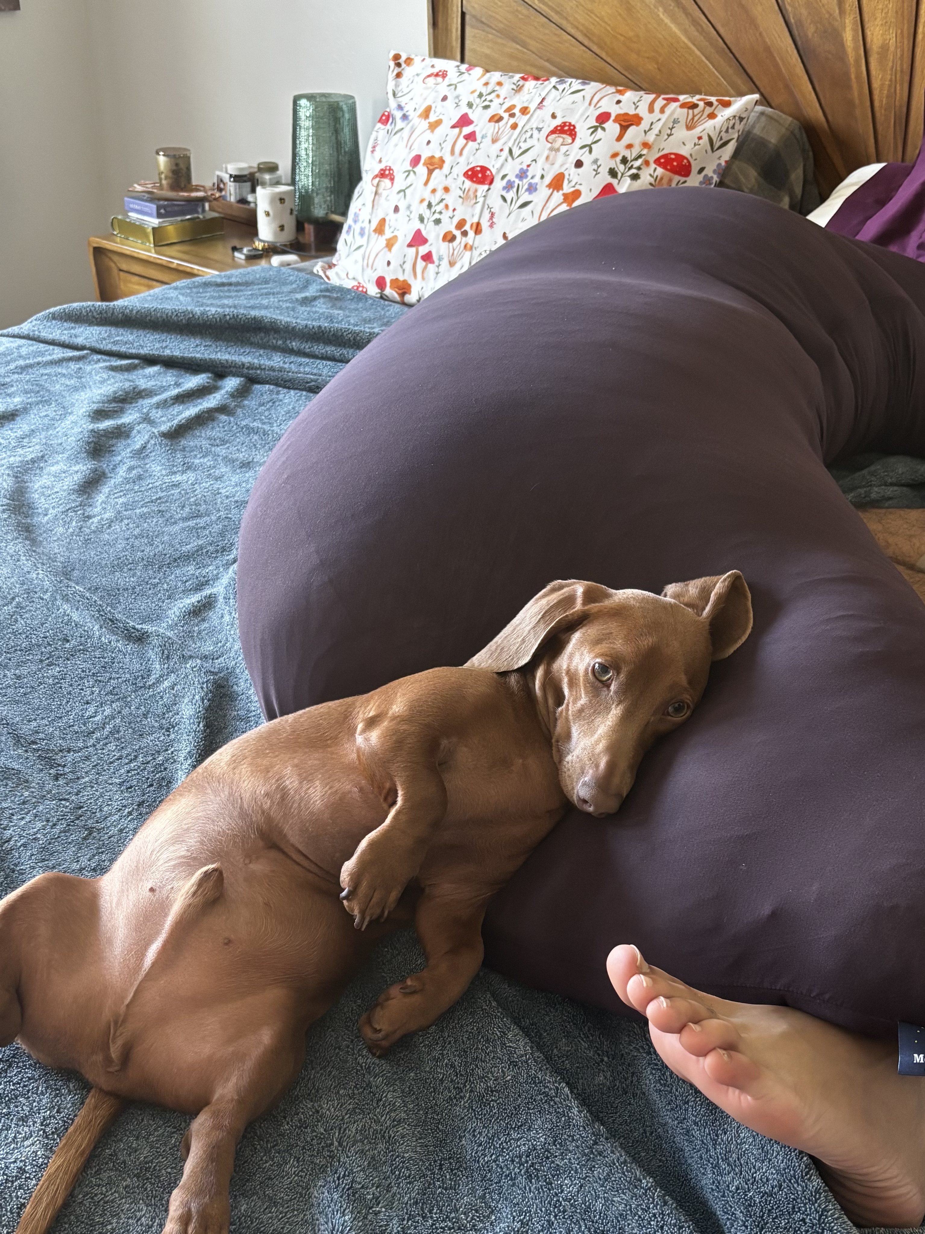 Photo from Gurji's MoonSpoon review