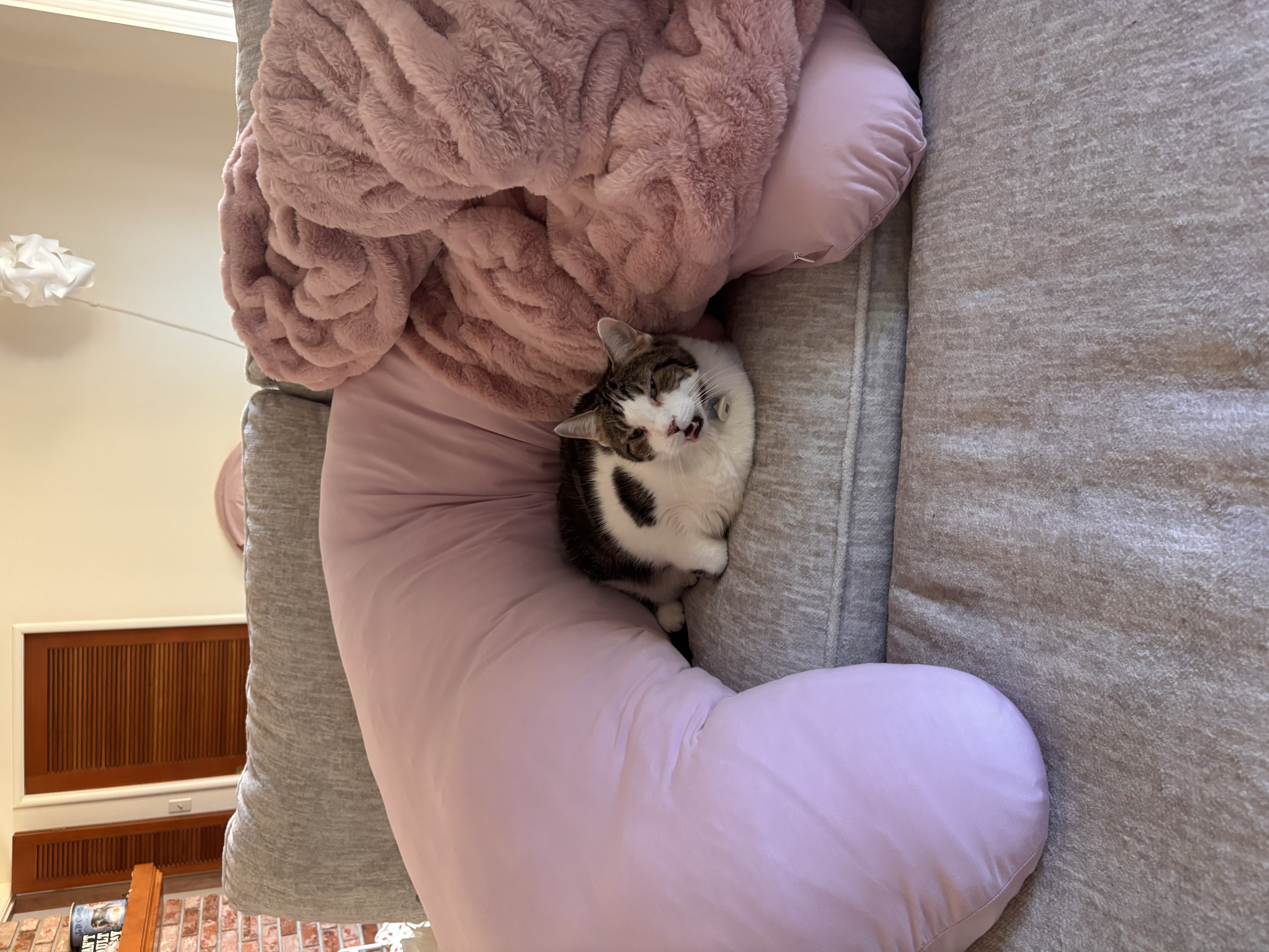 Photo from Laurel's MoonSpoon review