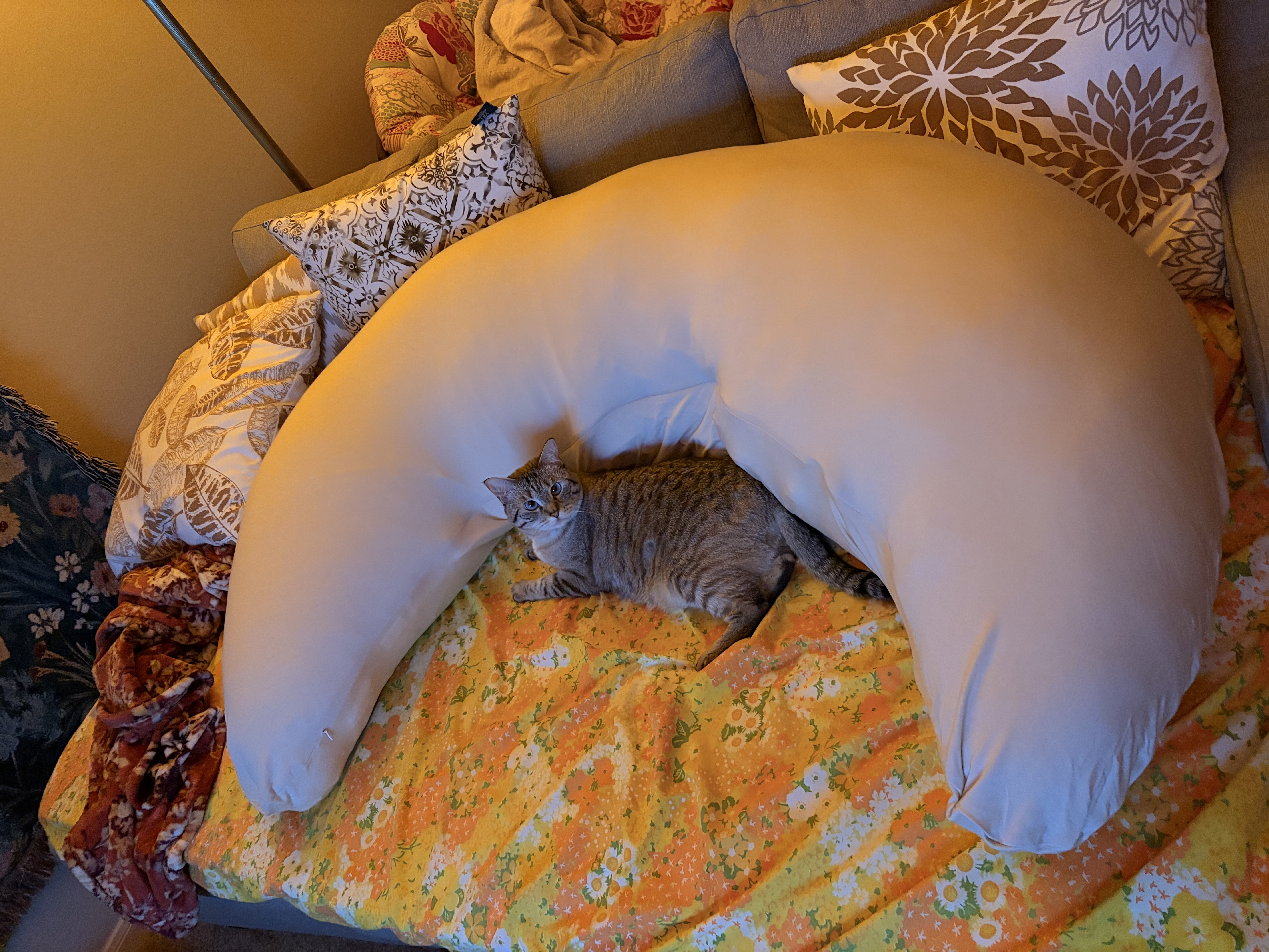 Photo from Mickey's MoonSpoon review