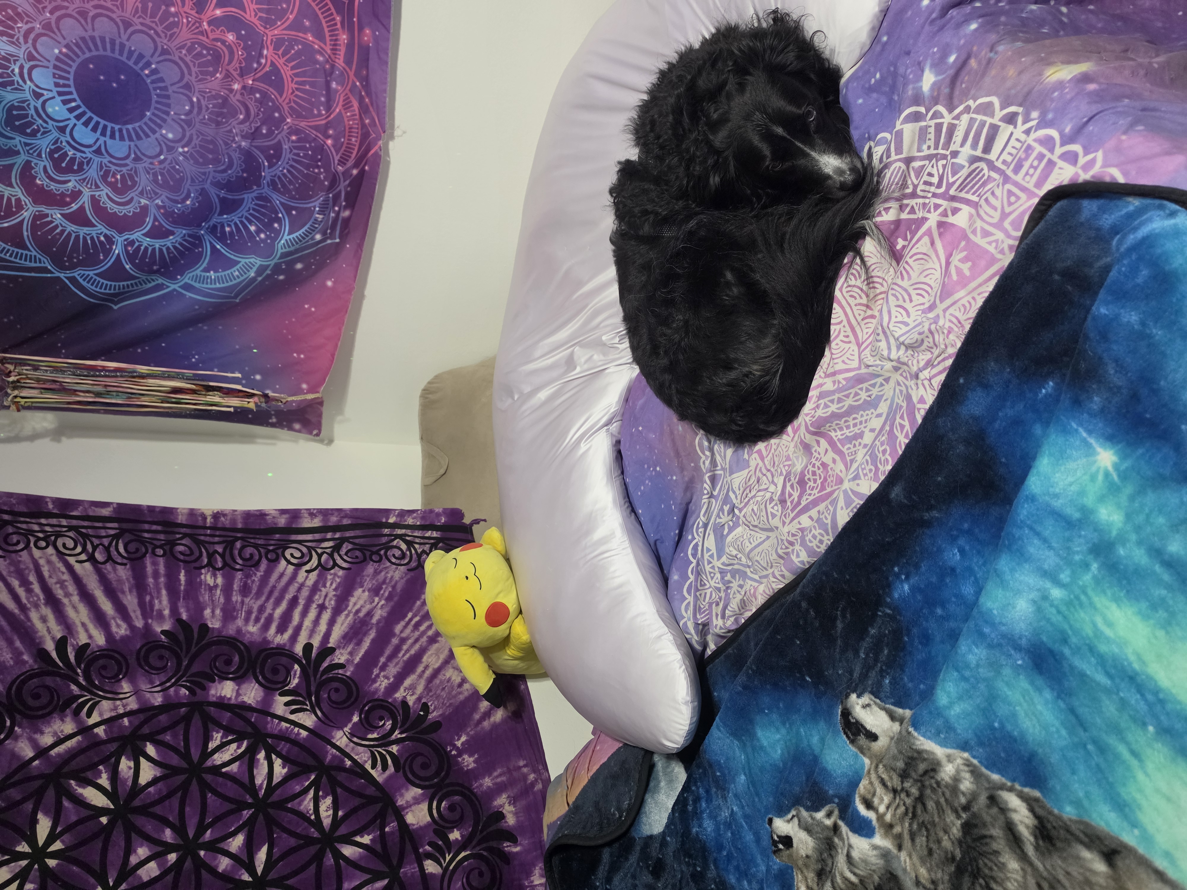 Photo from KeeShia's MoonSpoon review