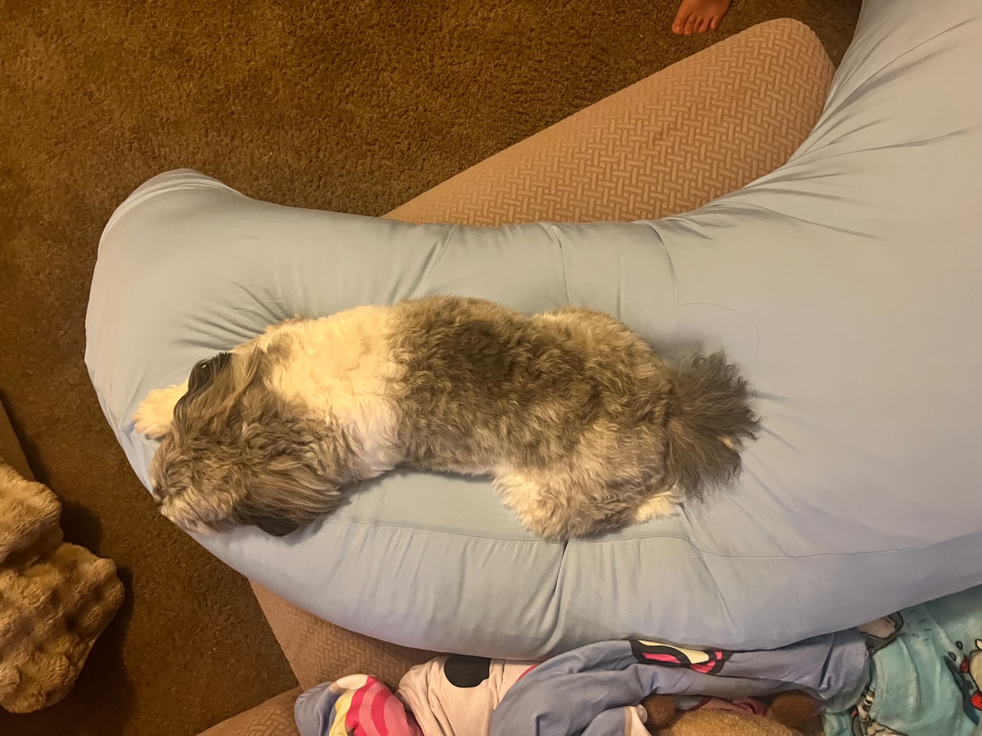 Photo from Lisa's MoonSpoon review
