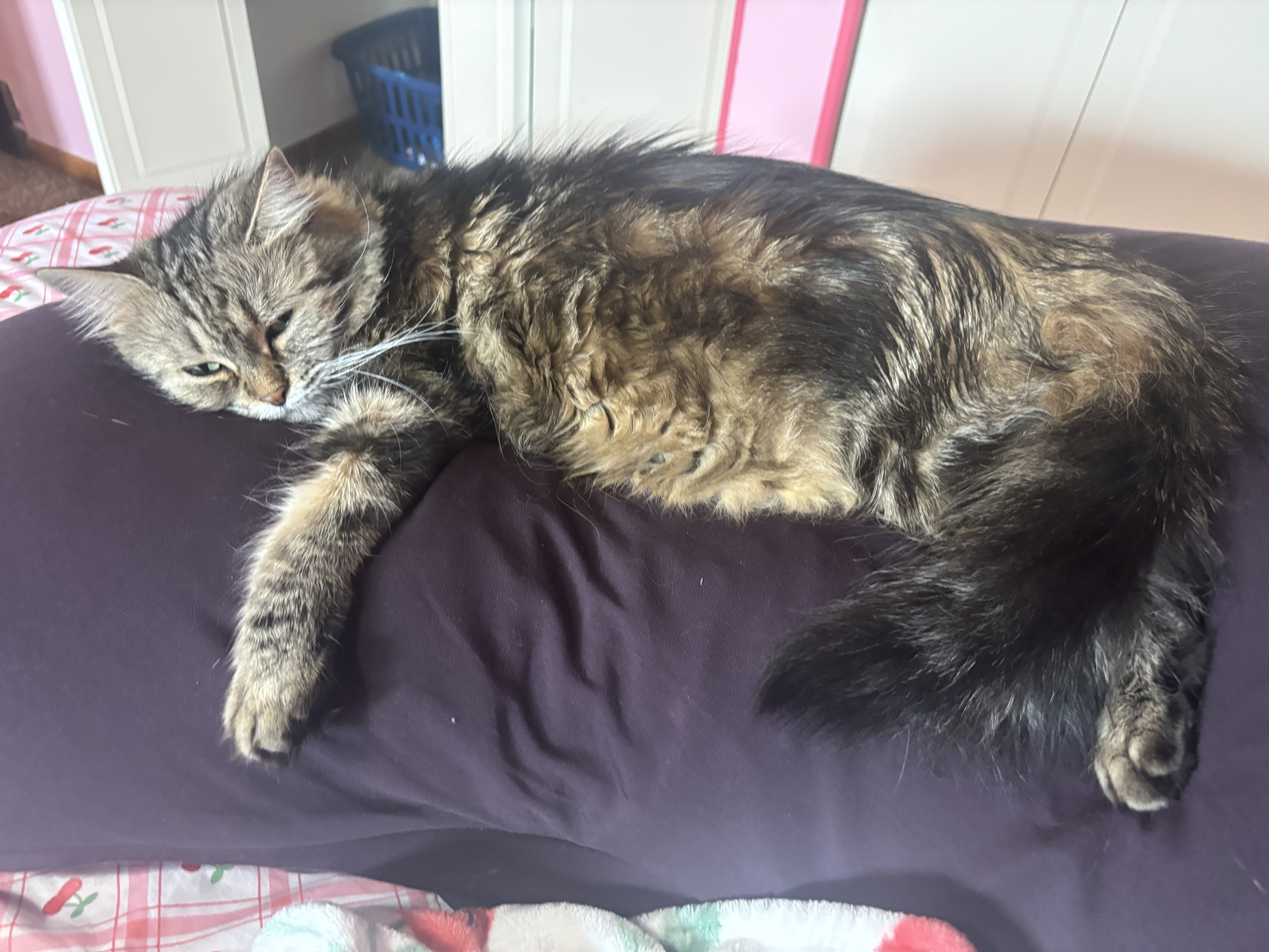 Photo from Eleanor's MoonSpoon review