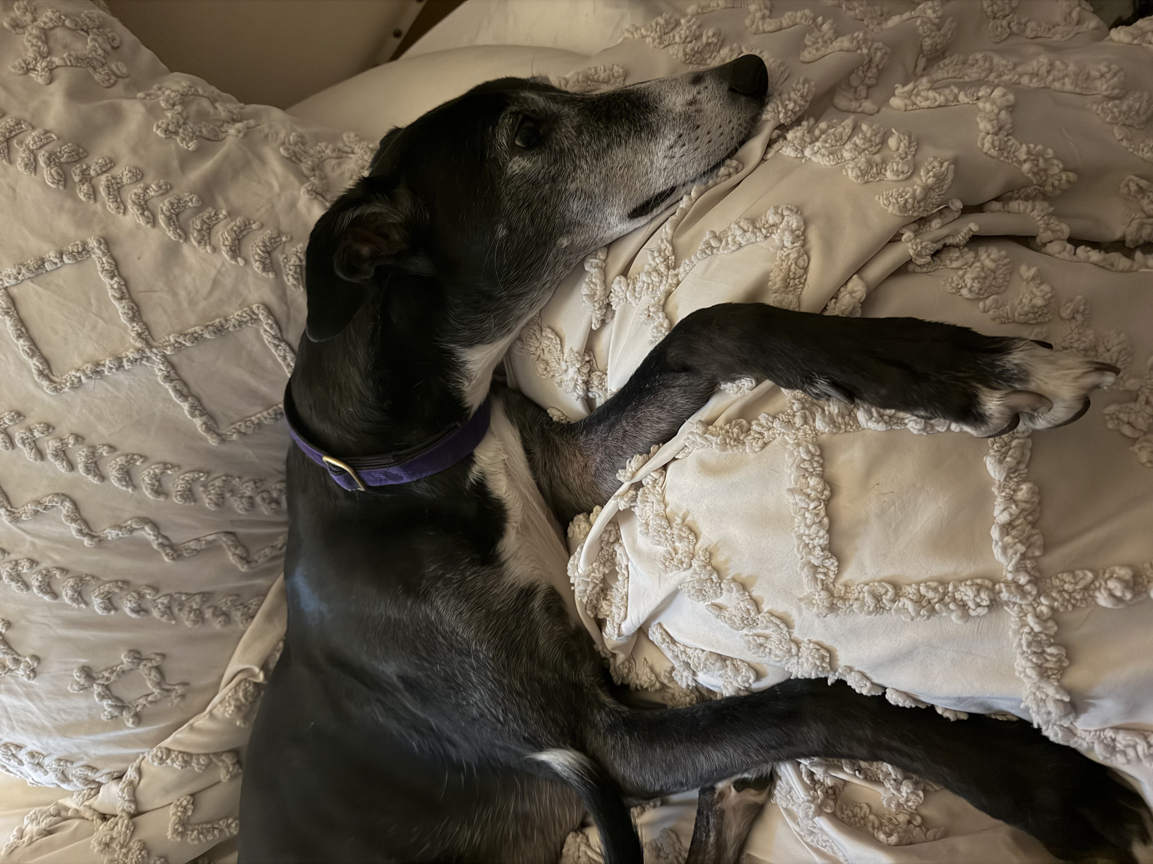 Photo from Jess's MoonSpoon review