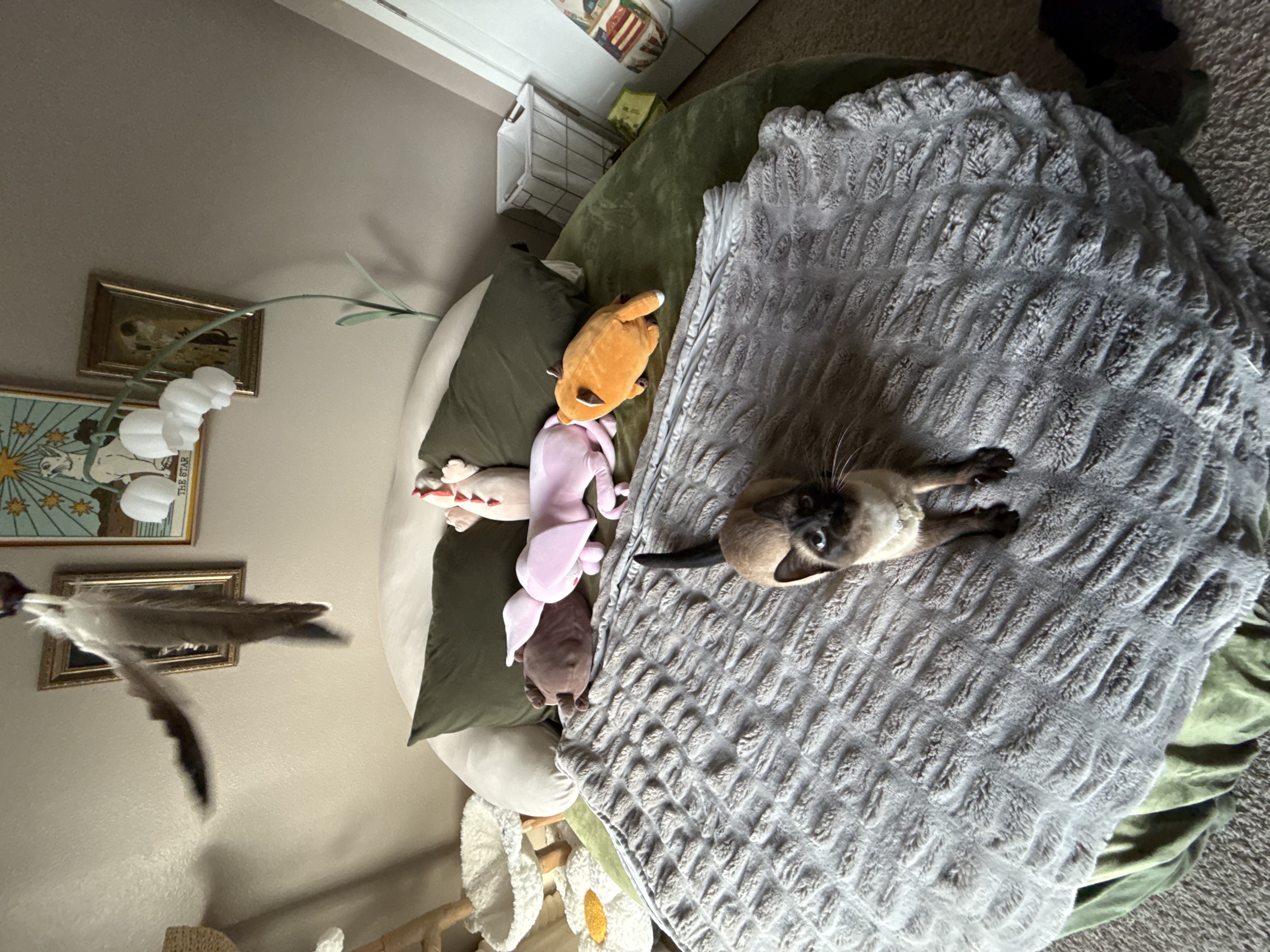 Photo from Leah's MoonSpoon review