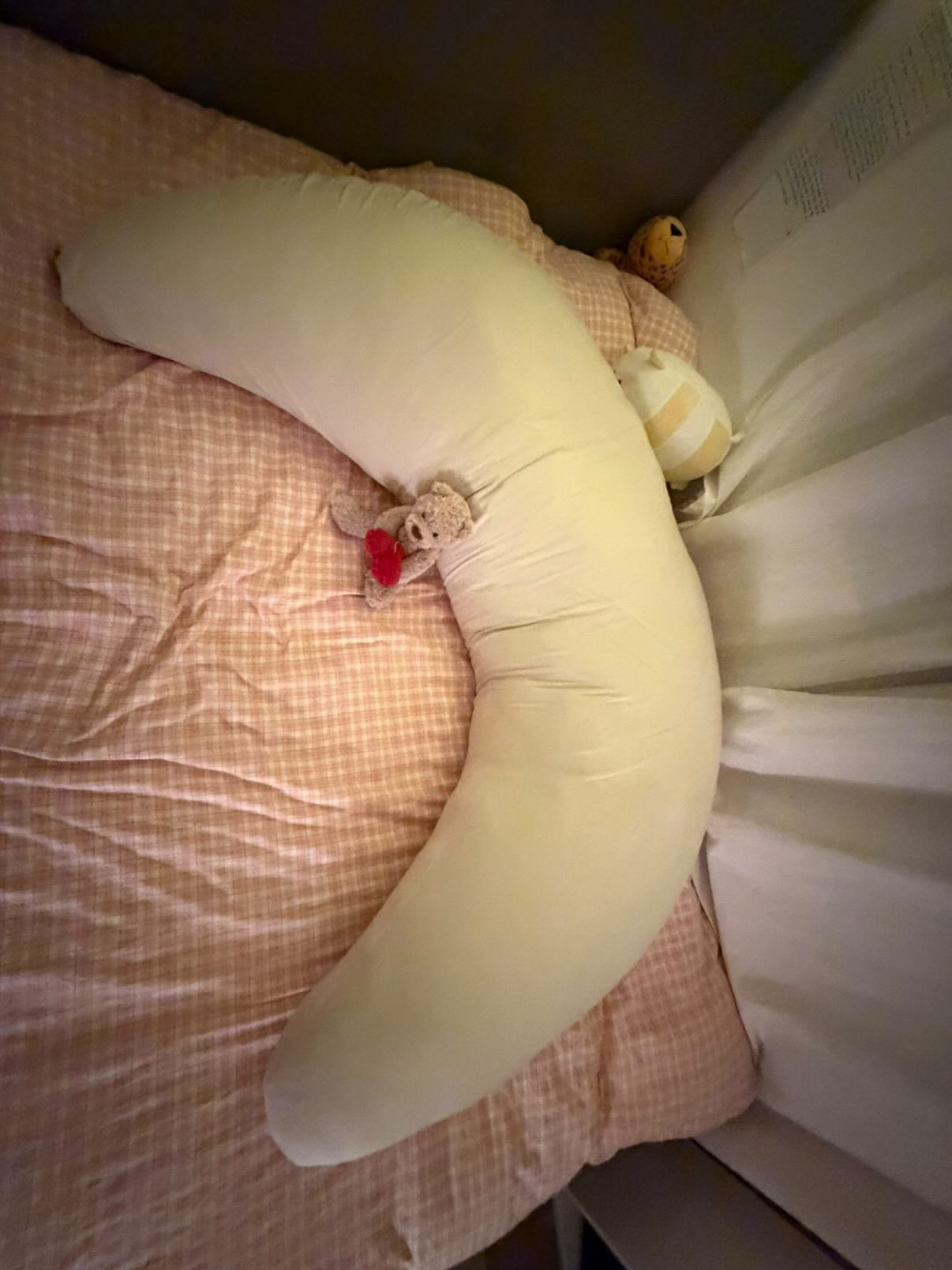 Photo from Emily's MoonSpoon review