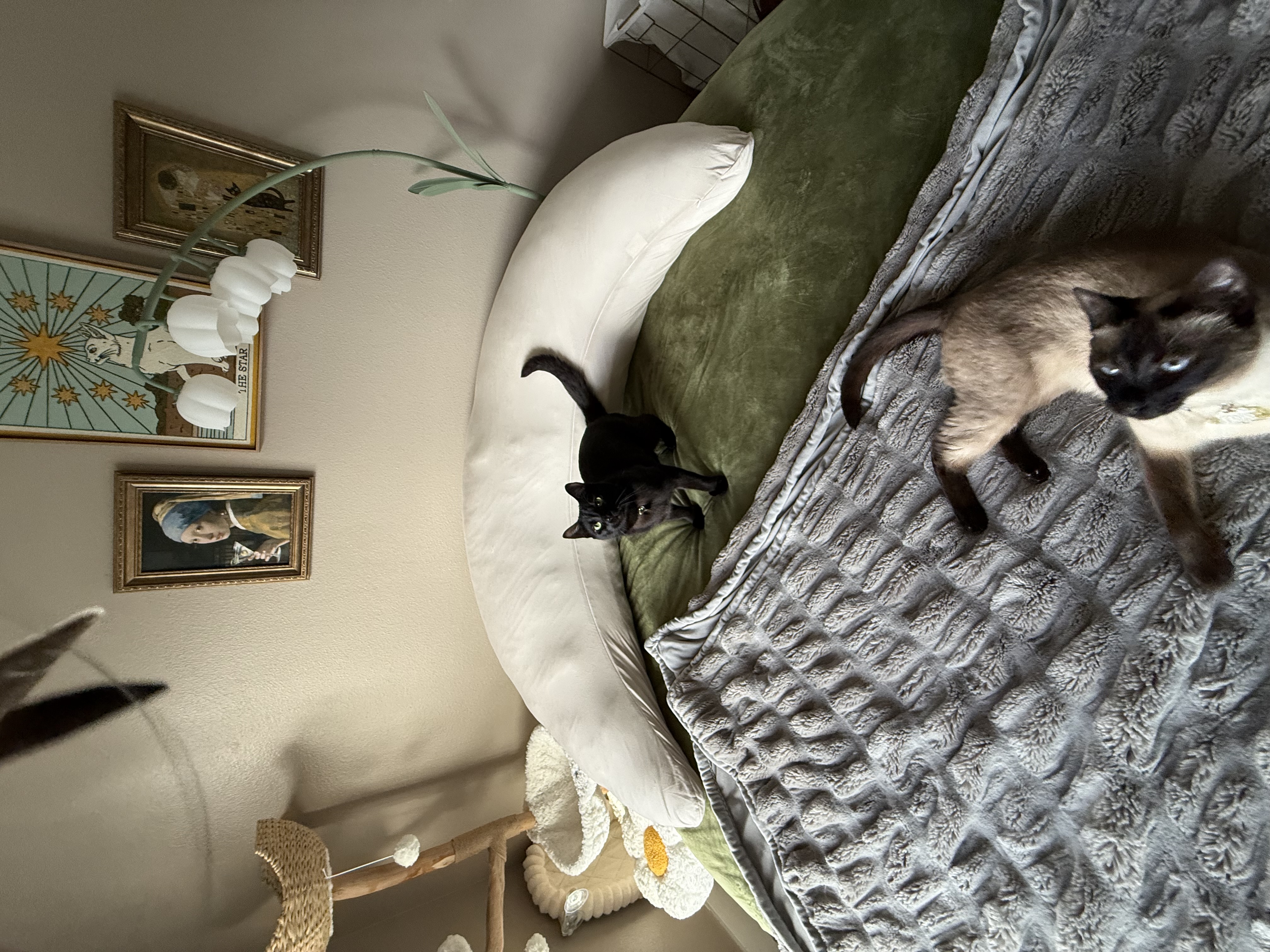 Photo from Leah's MoonSpoon review