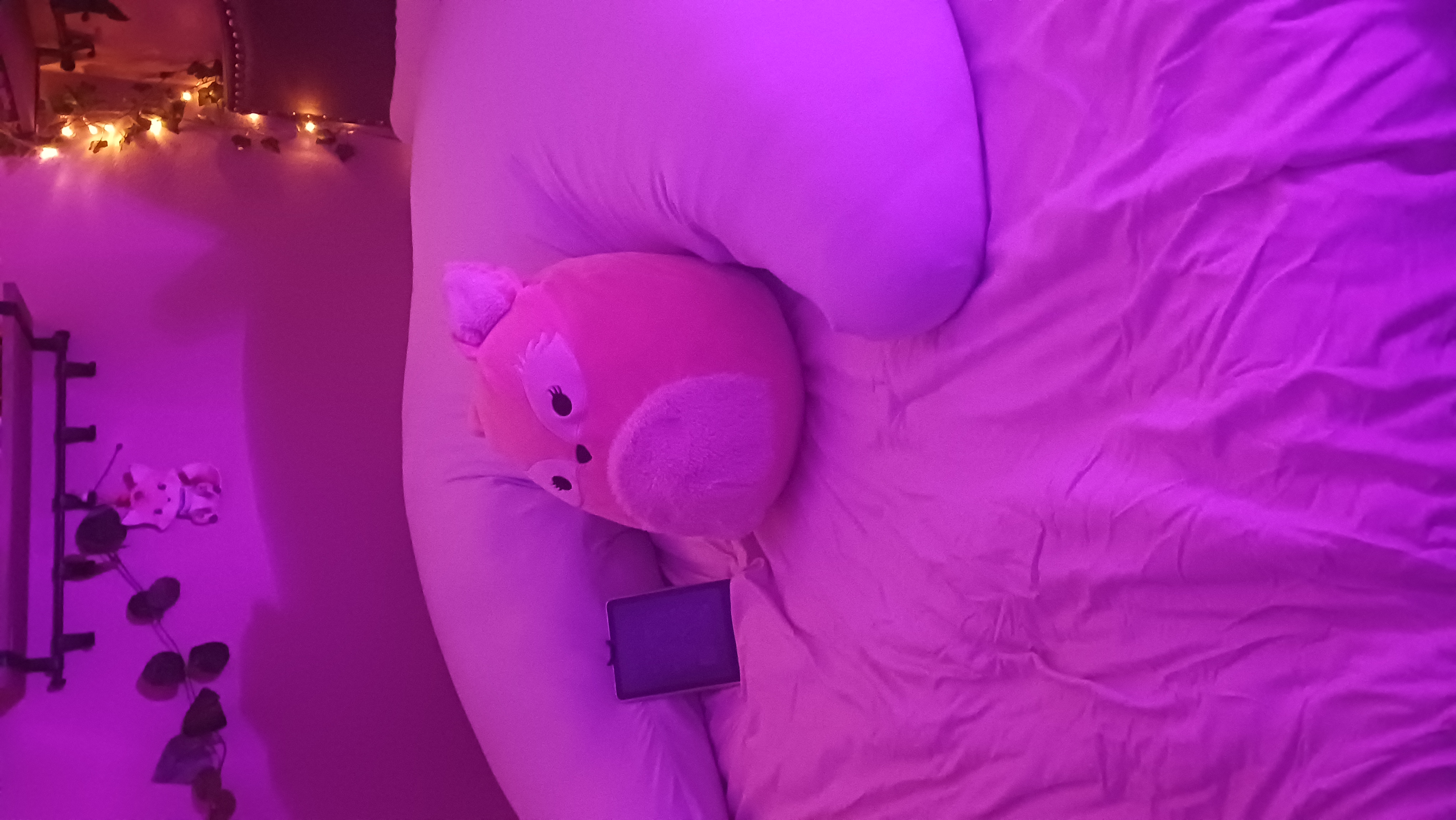 Photo from Brookelyn's MoonSpoon review